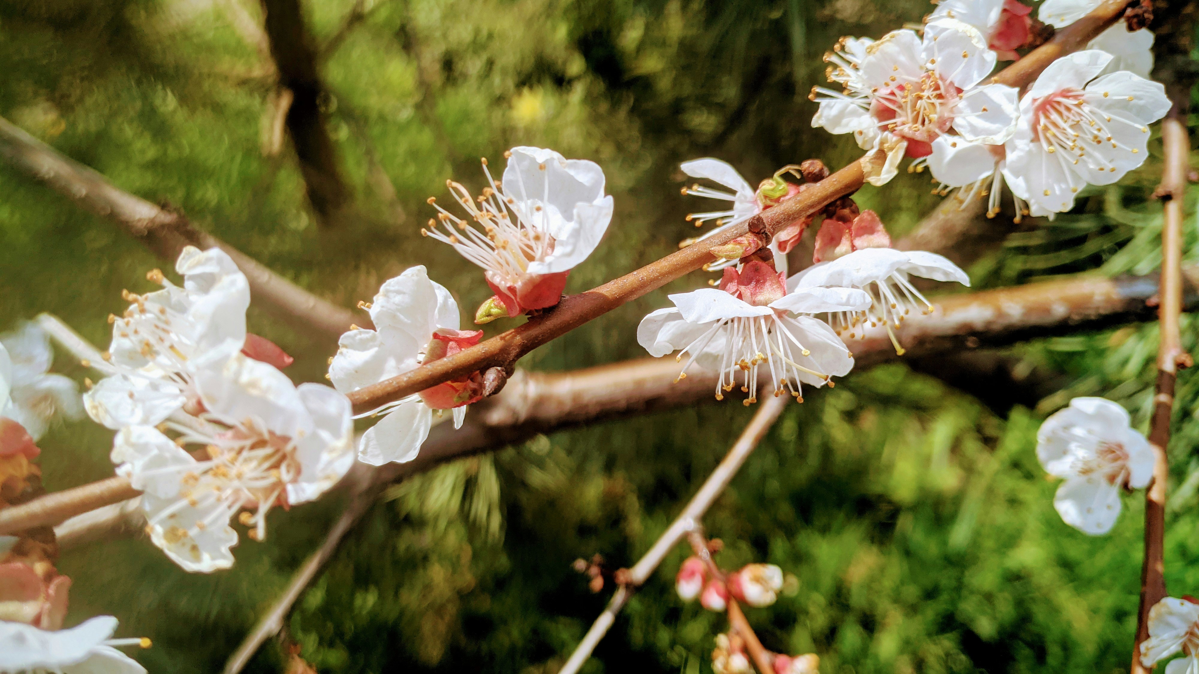 Tapping into Wellness 's image