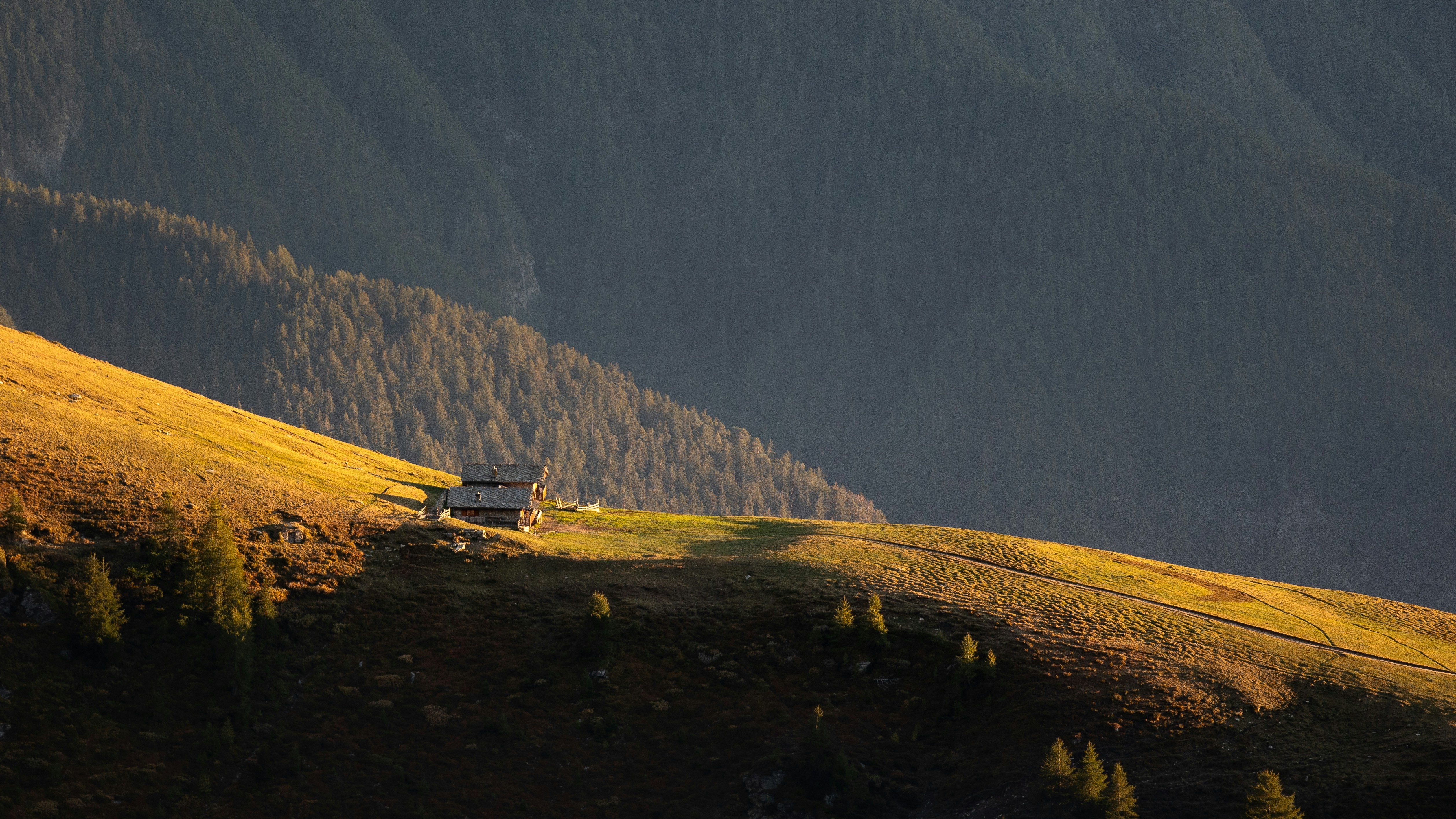 Photo by marekpiwnicki