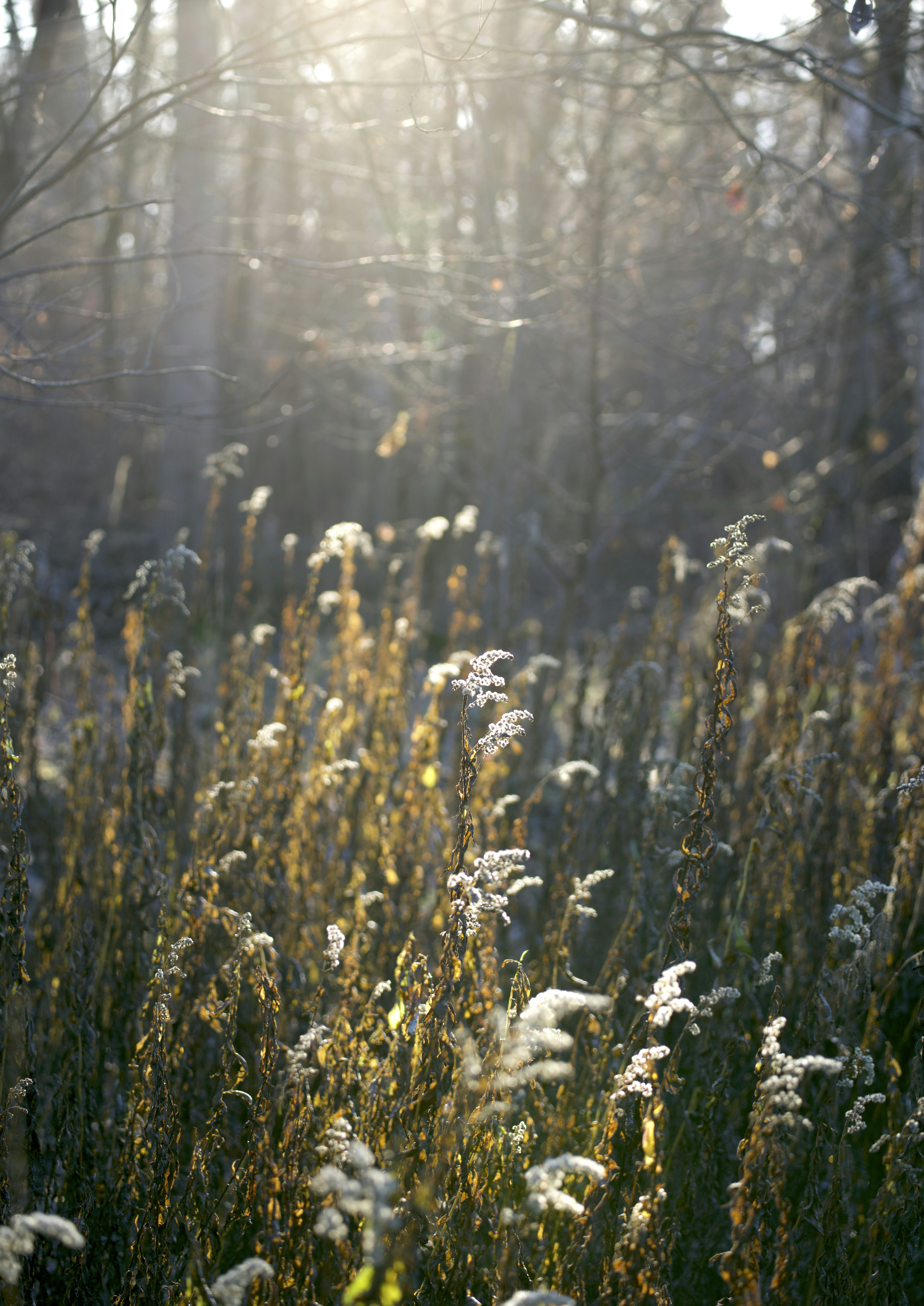 Photo by yuliya_grch