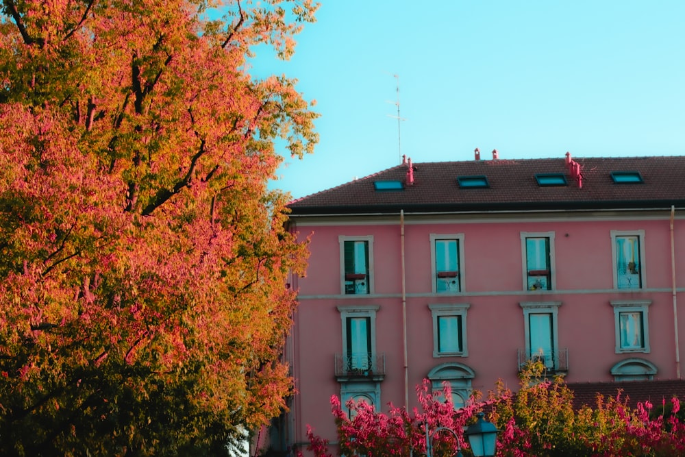 a tall pink building sitting next to a lush green tree