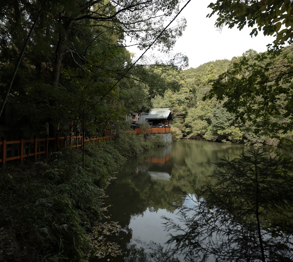 a bridge over a river surrounded by trees