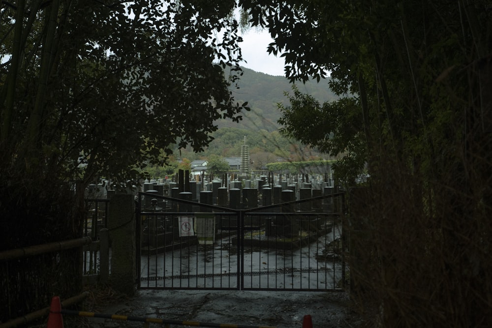 a gated area with trees and a mountain in the background