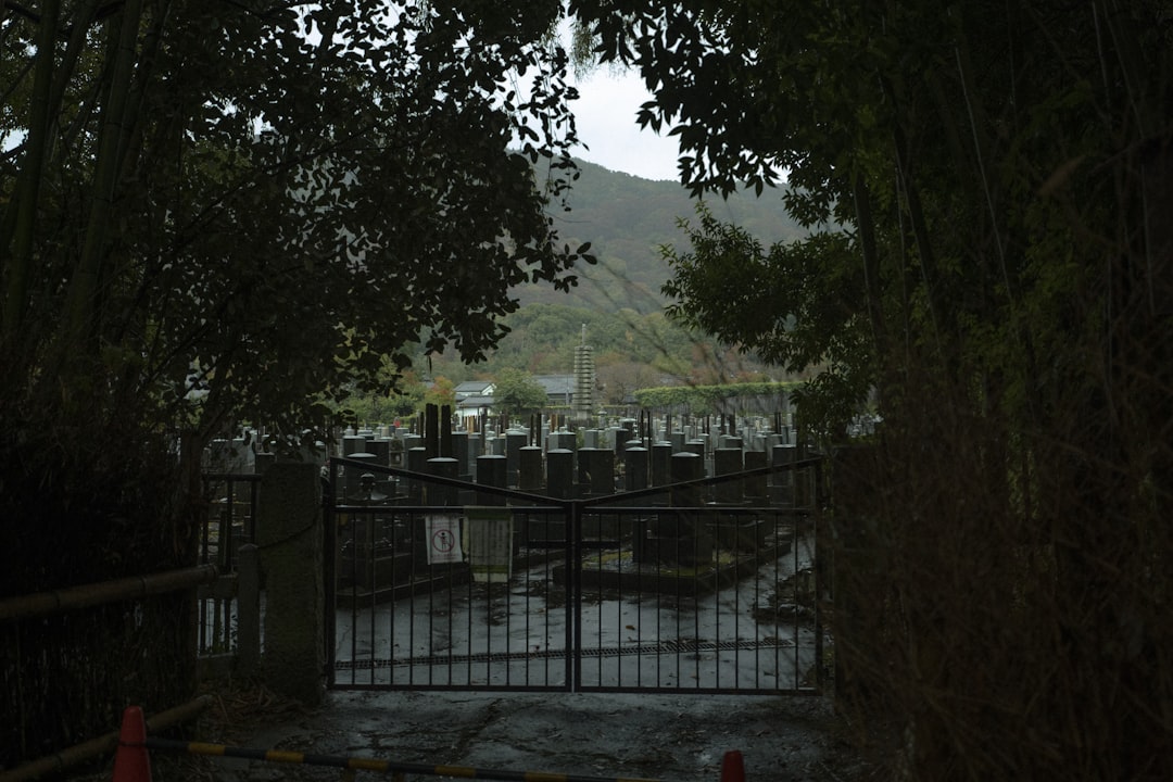 a gated area with trees and a mountain in the background,