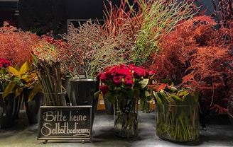 A collection of vibrant floral arrangements, primarily featuring red flowers and green foliage. The flowers are placed in glass vases on a flat surface, and there is a sign with German text in front of them. The backdrop is dark, accentuating the rich colors of the flowers.