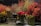 A collection of vibrant floral arrangements, primarily featuring red flowers and green foliage. The flowers are placed in glass vases on a flat surface, and there is a sign with German text in front of them. The backdrop is dark, accentuating the rich colors of the flowers.