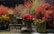 A collection of vibrant floral arrangements, primarily featuring red flowers and green foliage. The flowers are placed in glass vases on a flat surface, and there is a sign with German text in front of them. The backdrop is dark, accentuating the rich colors of the flowers.