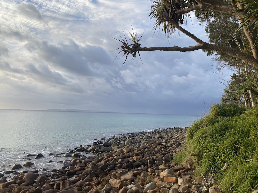 a view of a beach with rocks and trees