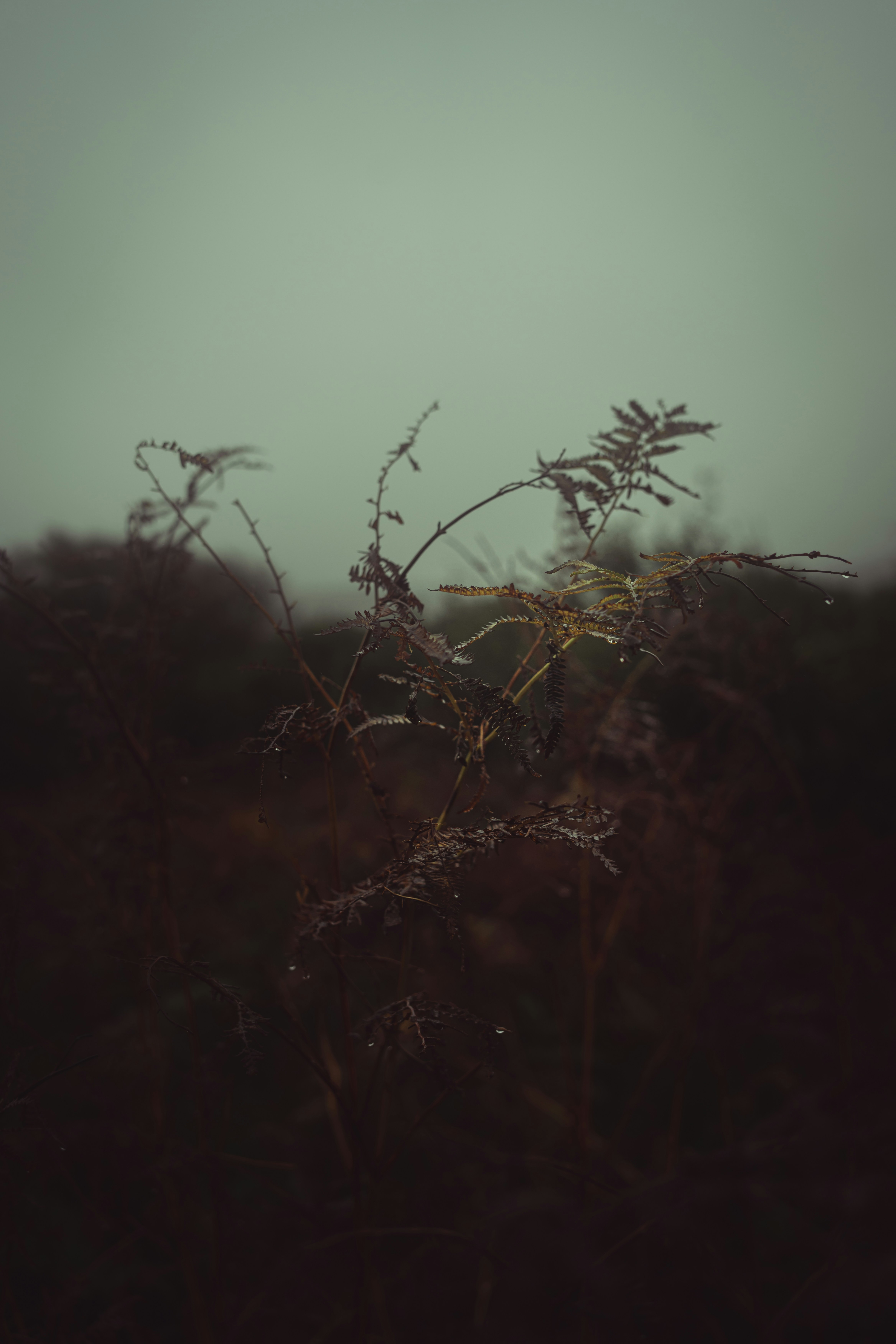 Photo by alexisnthere_