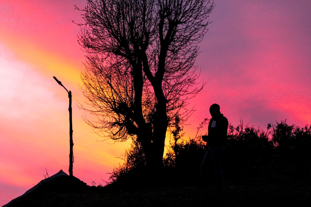 a person standing next to a tree at sunset