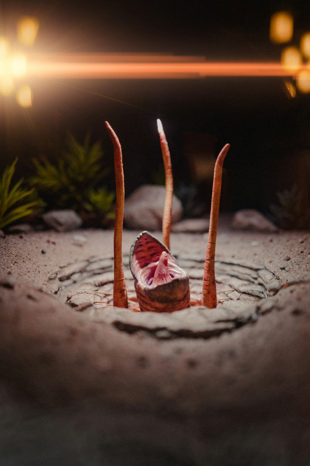 a red and white animal laying on top of a rock