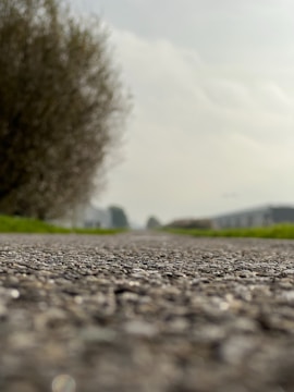 Street view of compacted gravel roads winding through the lots.