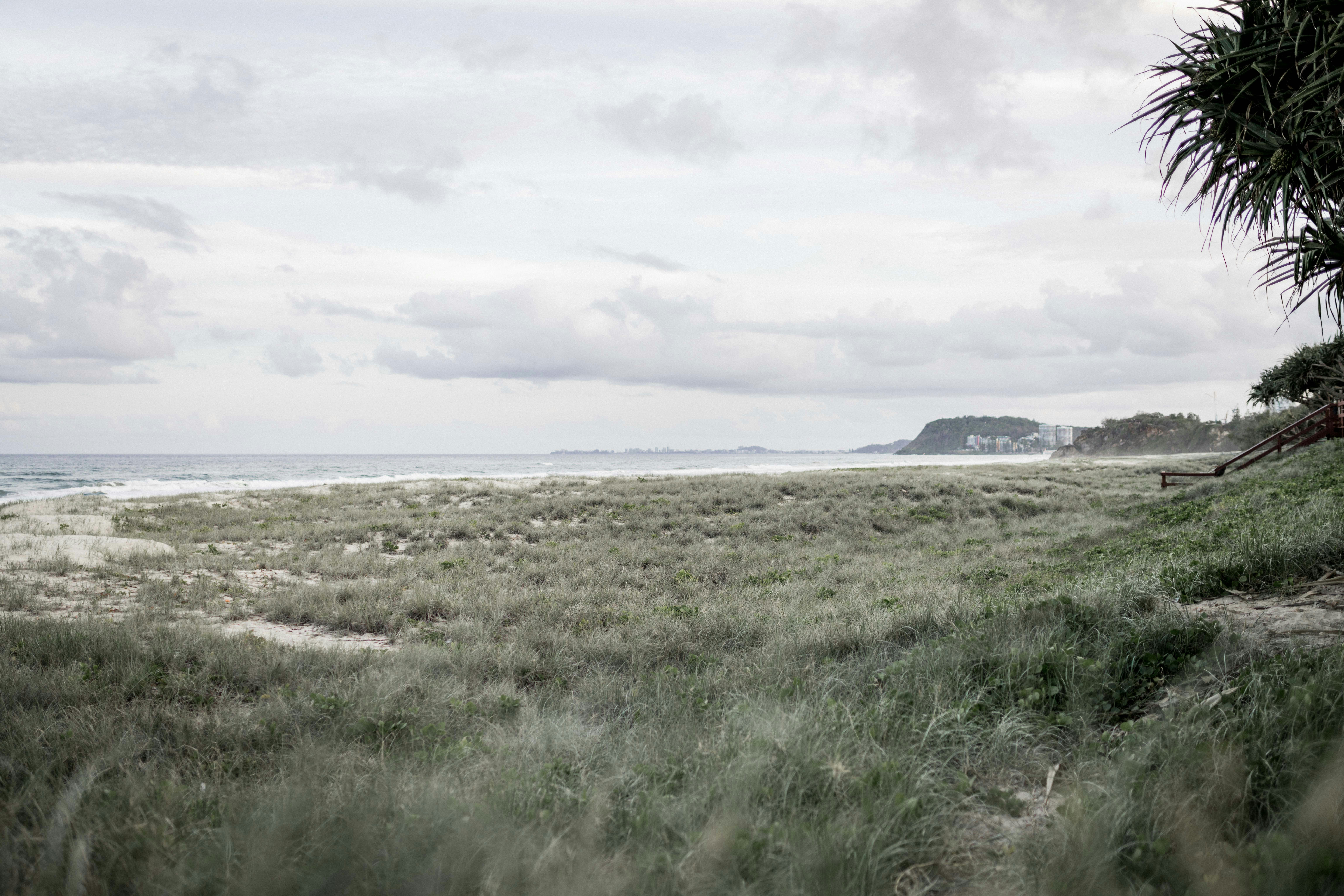 Photo by baileymahon