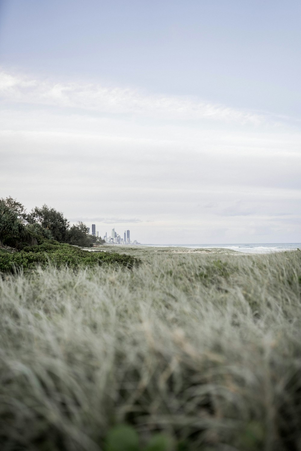 a grassy field with a city in the background