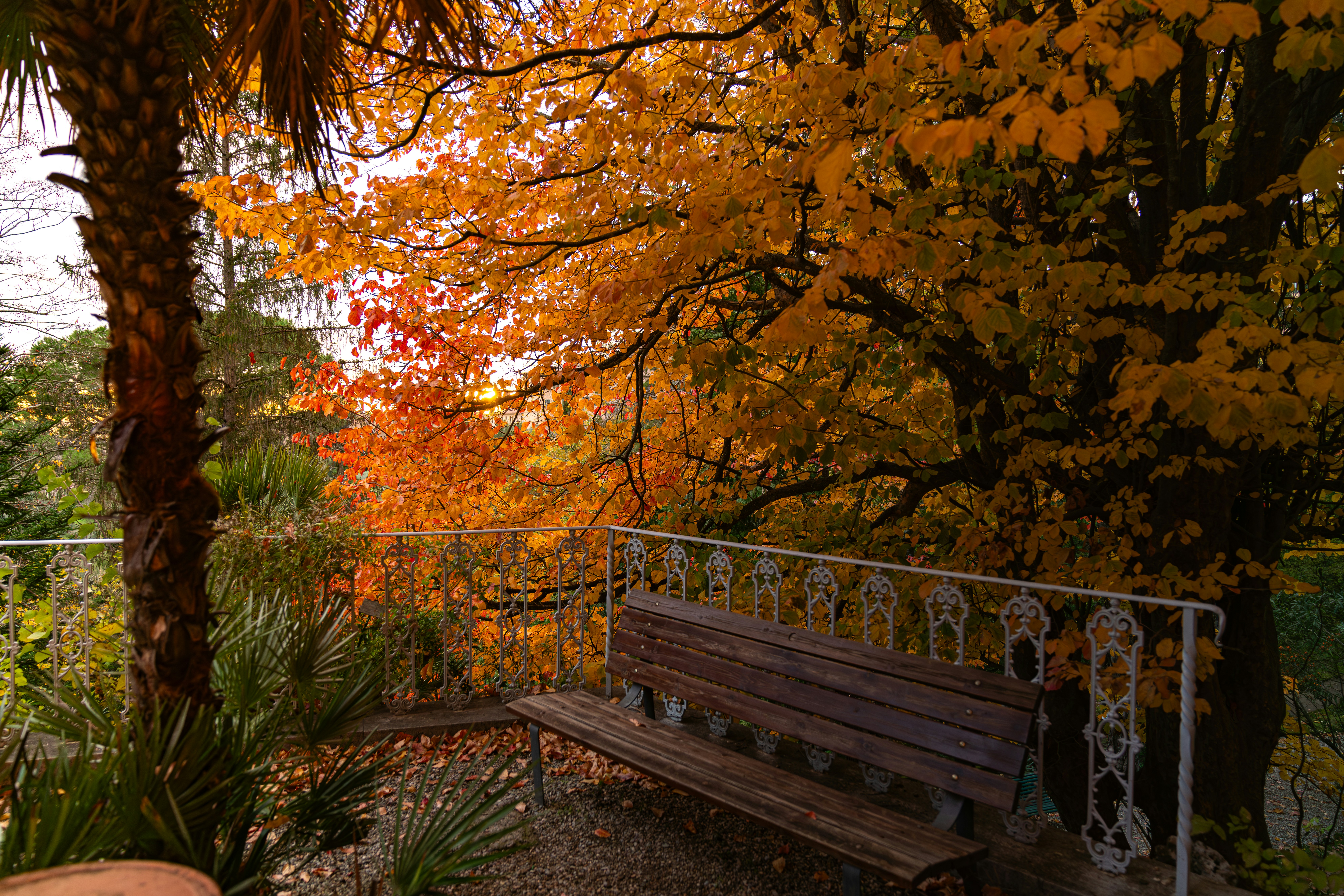 Image by Gabriele Proietti Mattia via Unsplash