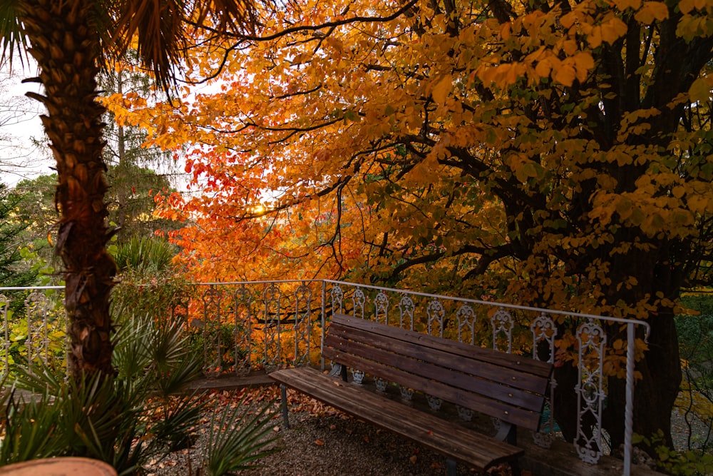 a wooden bench sitting next to a lush green forest