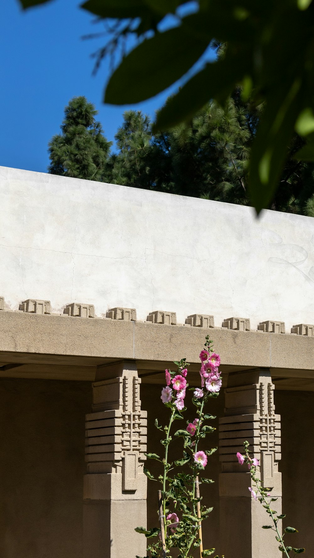 a pink flower growing out of a pot next to a building