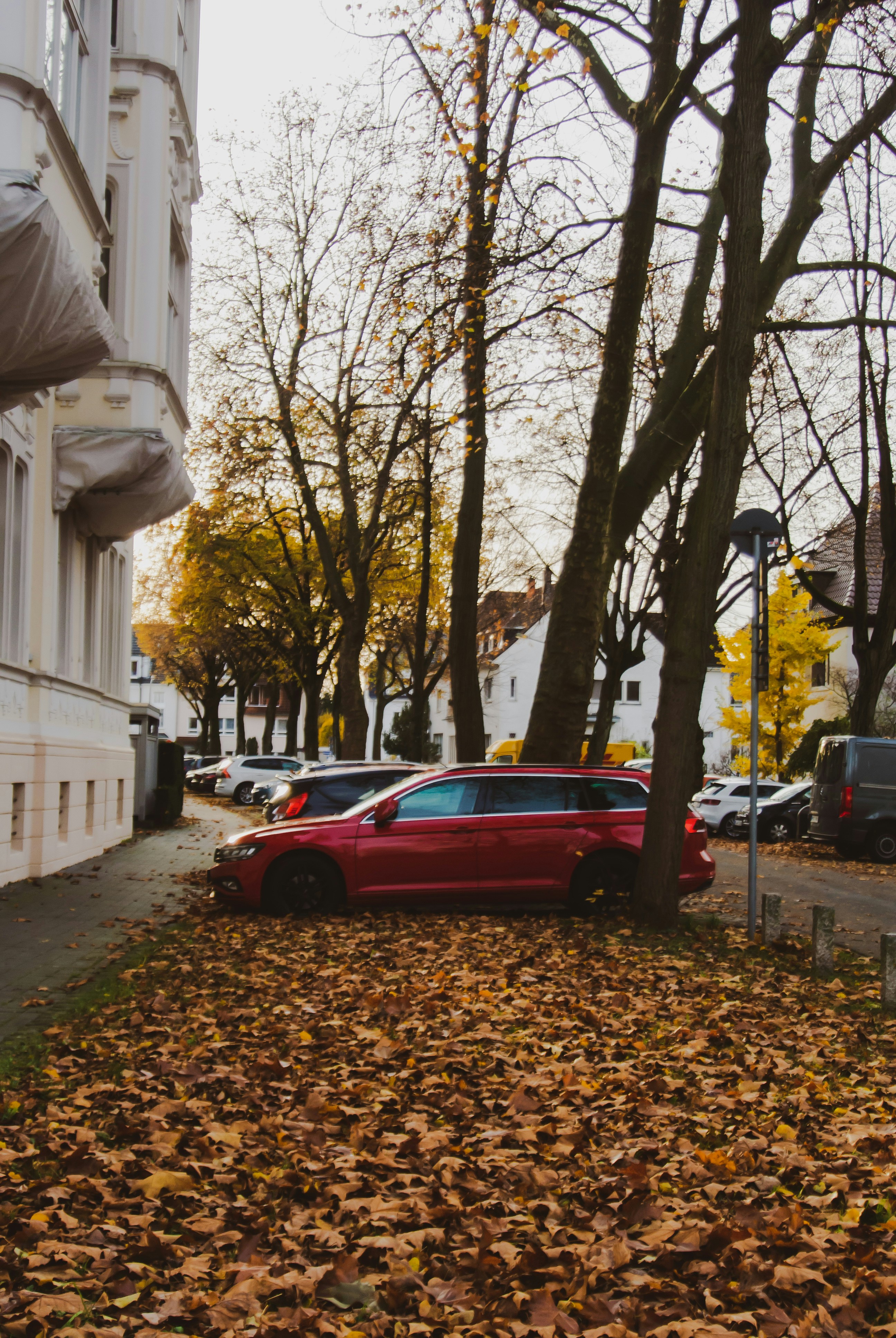 Photo by tom_66