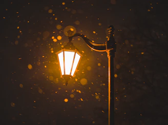 a street lamp lit up on a snowy night
