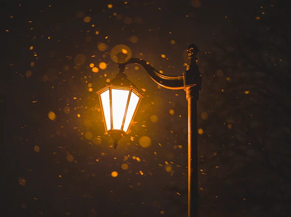 a street lamp lit up on a snowy night