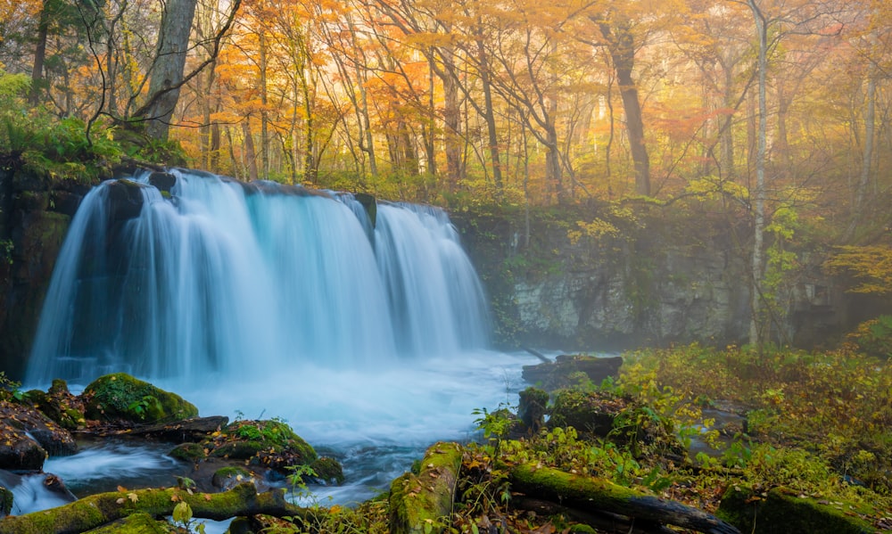 a waterfall in the middle of a forest