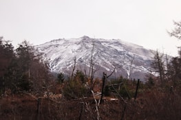 A quiet mountain slope scene hinting at the setting for John’s upcoming thriller.