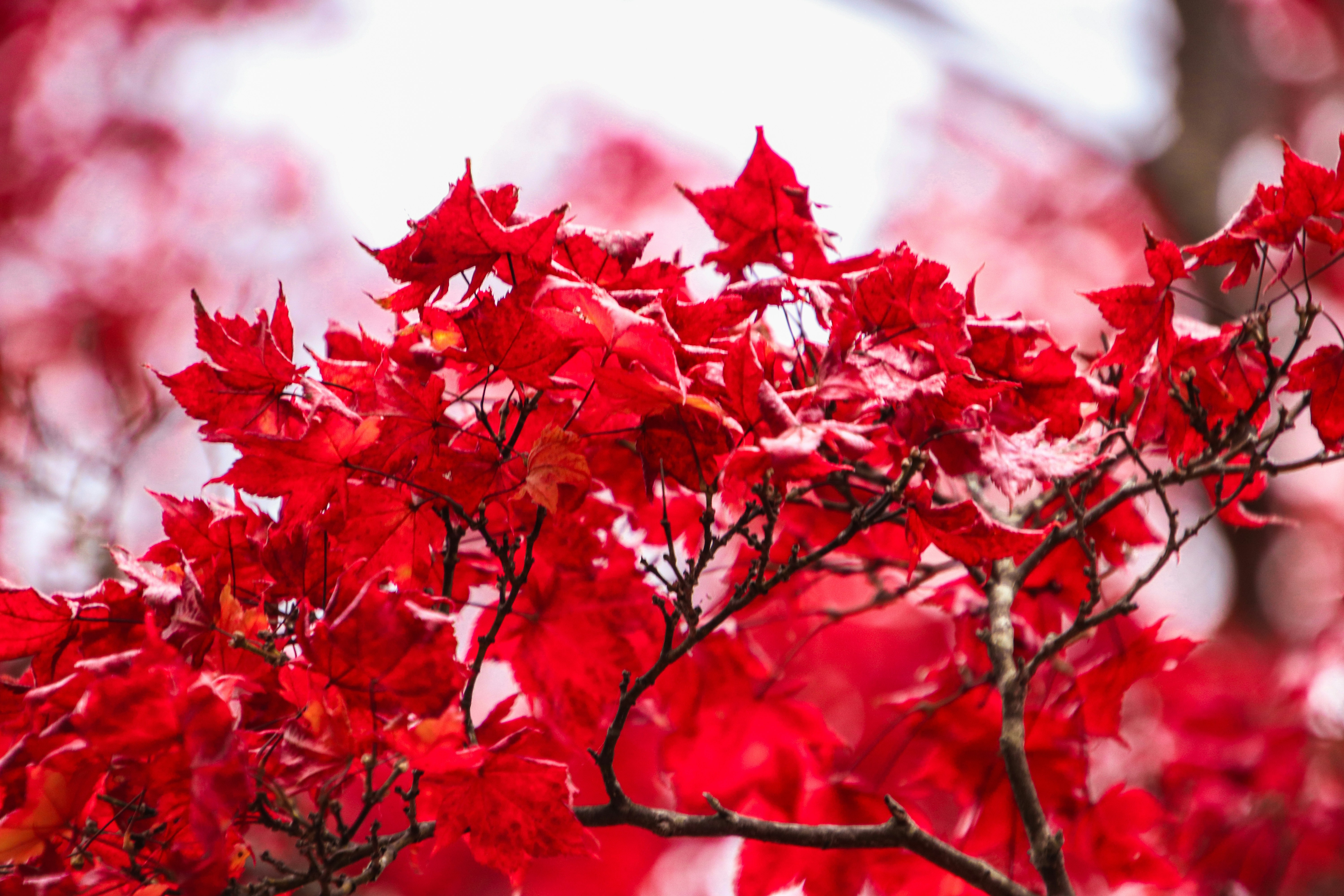 Photo by dc_snapshots