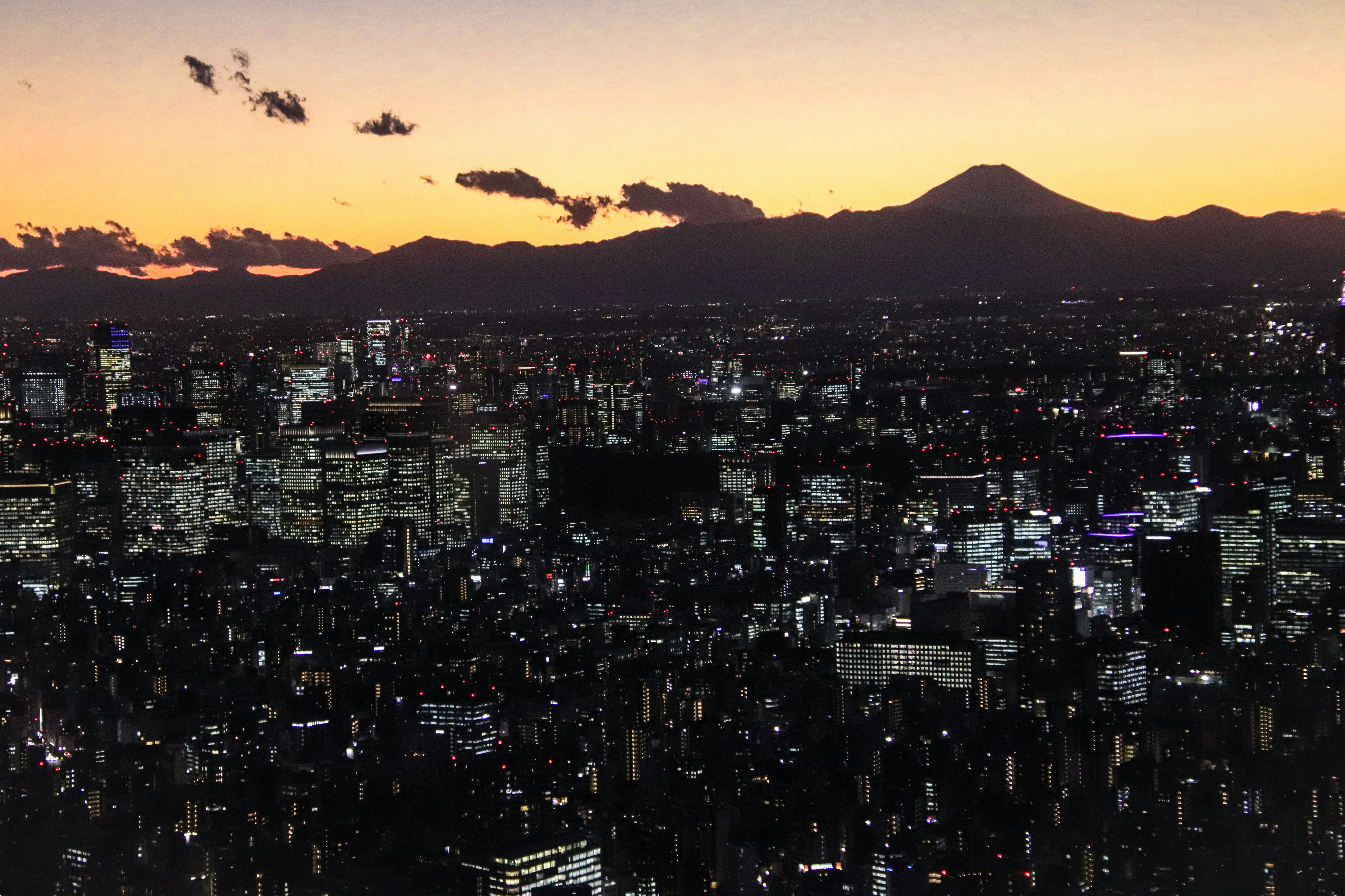 Tokyo city skyline at night with Mount Fuji in background, neon lights, urban density, dramatic dark sky