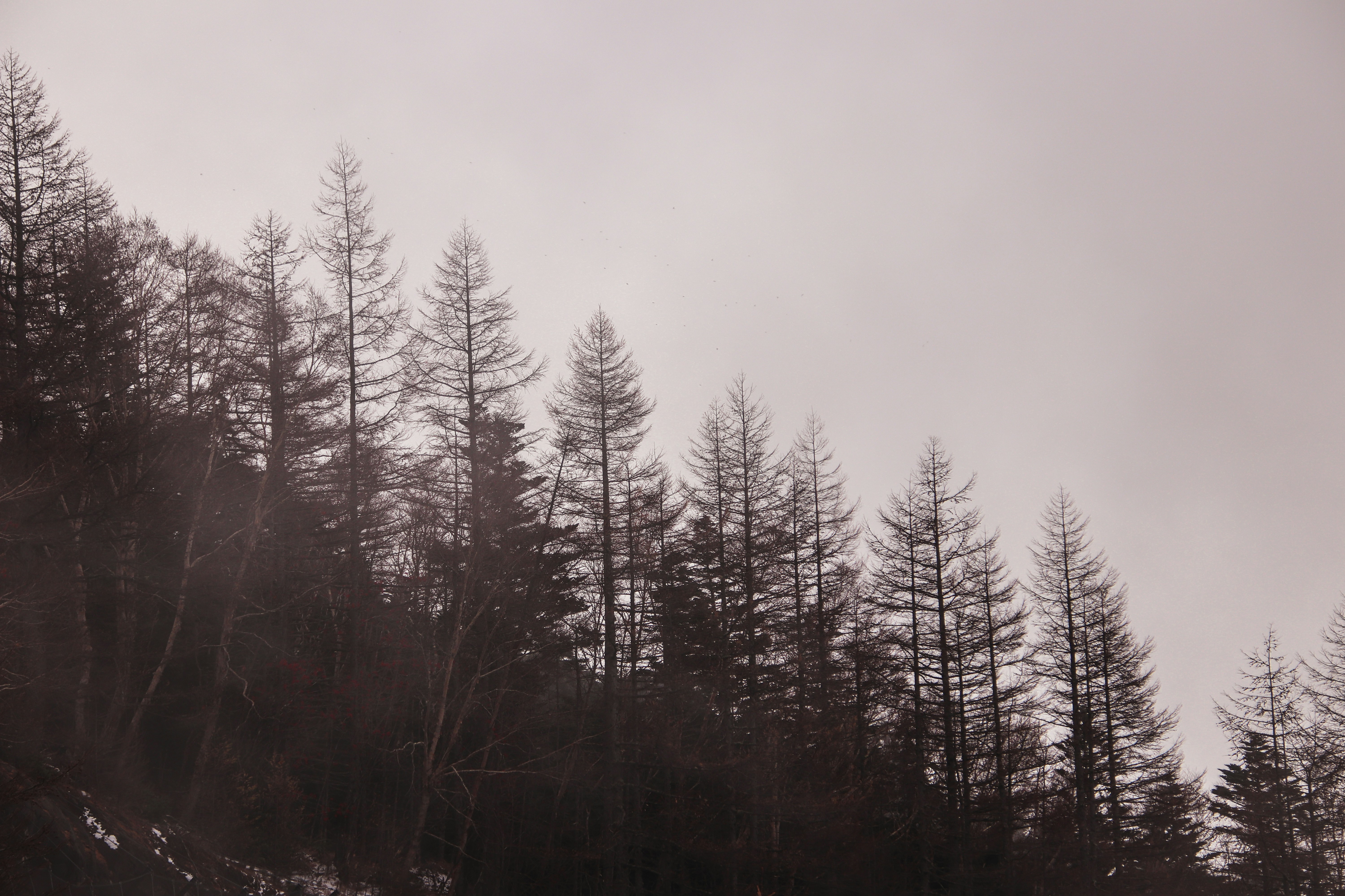 Photo by dc_snapshots