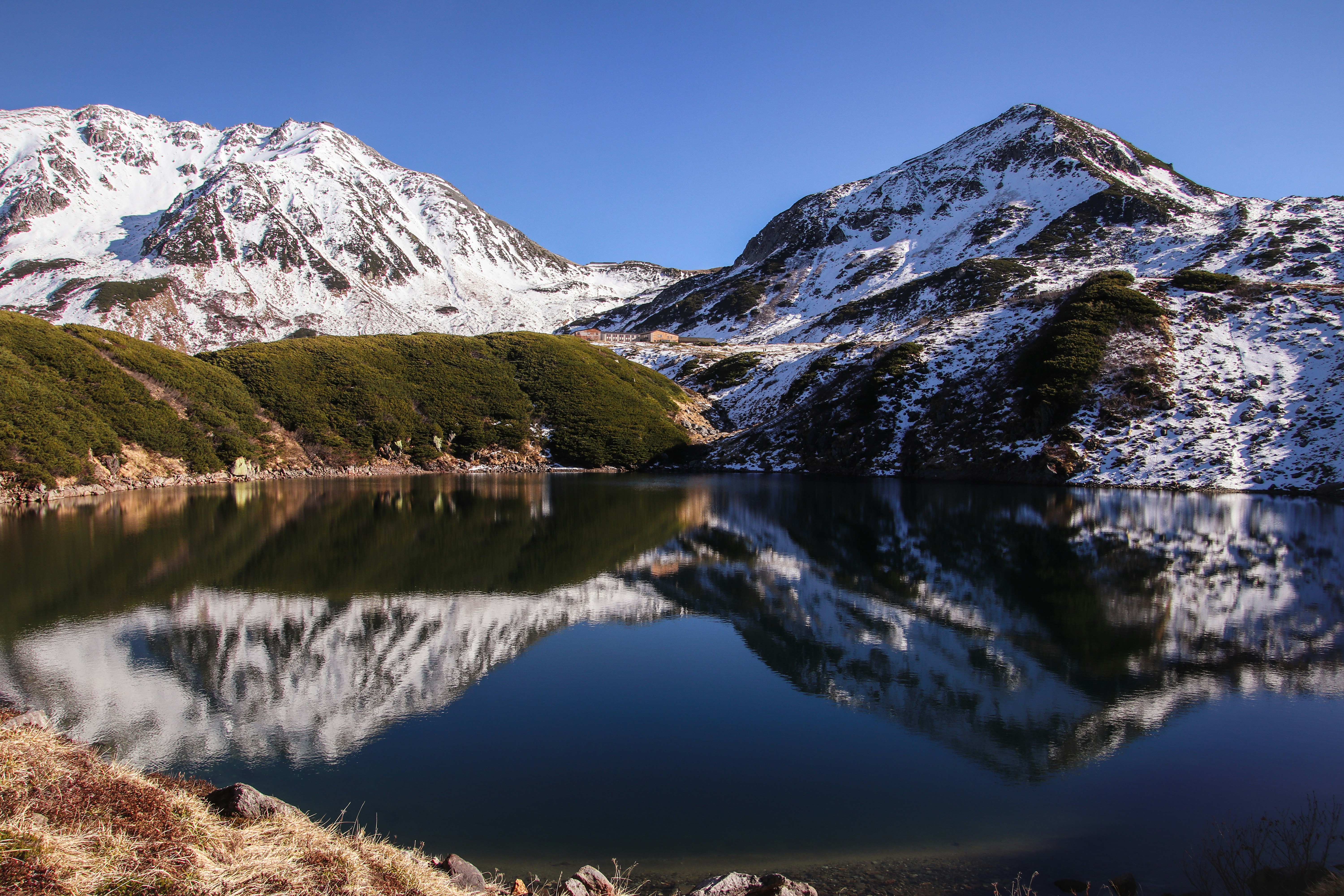 Photo by dc_snapshots