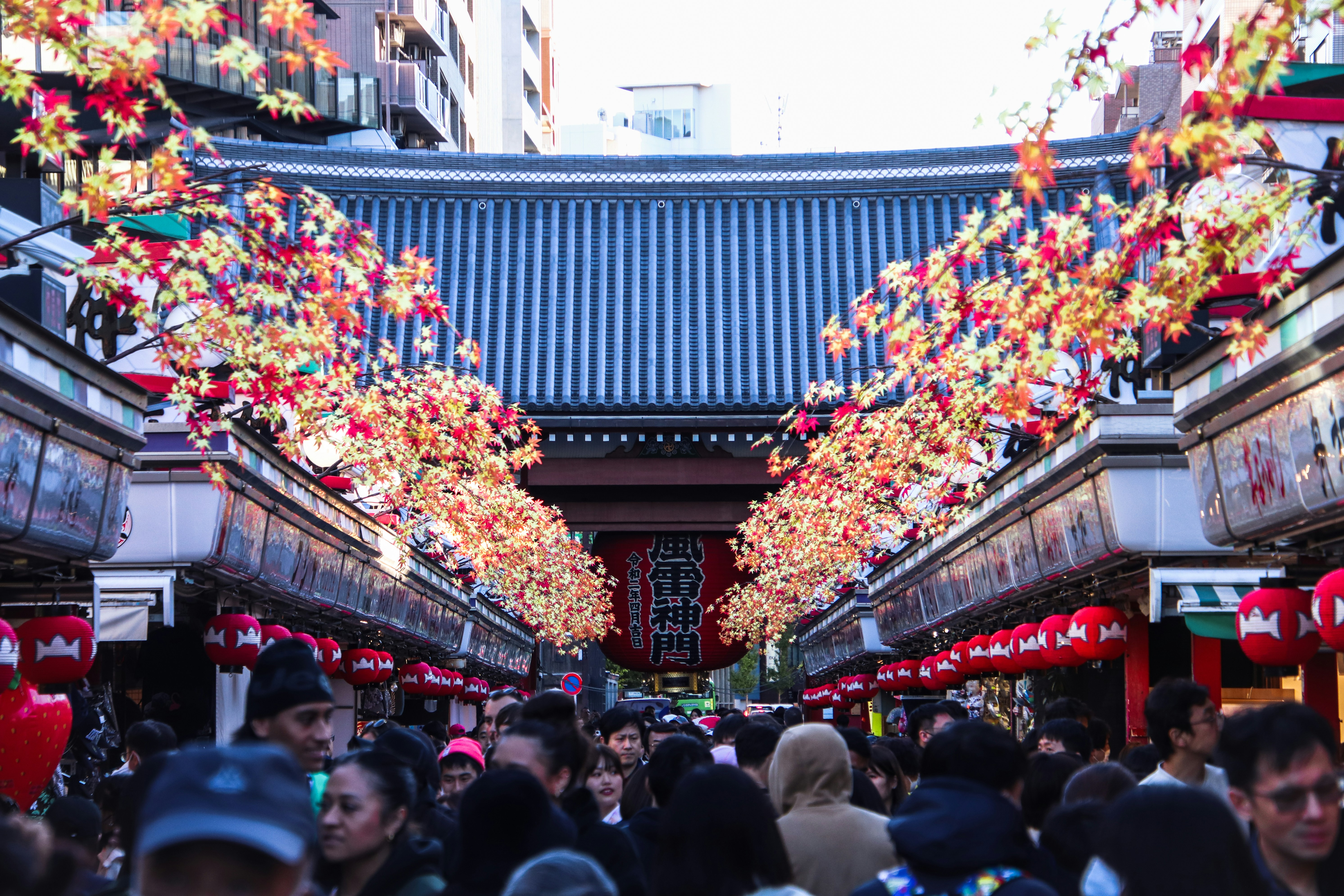 Photo by dc_snapshots