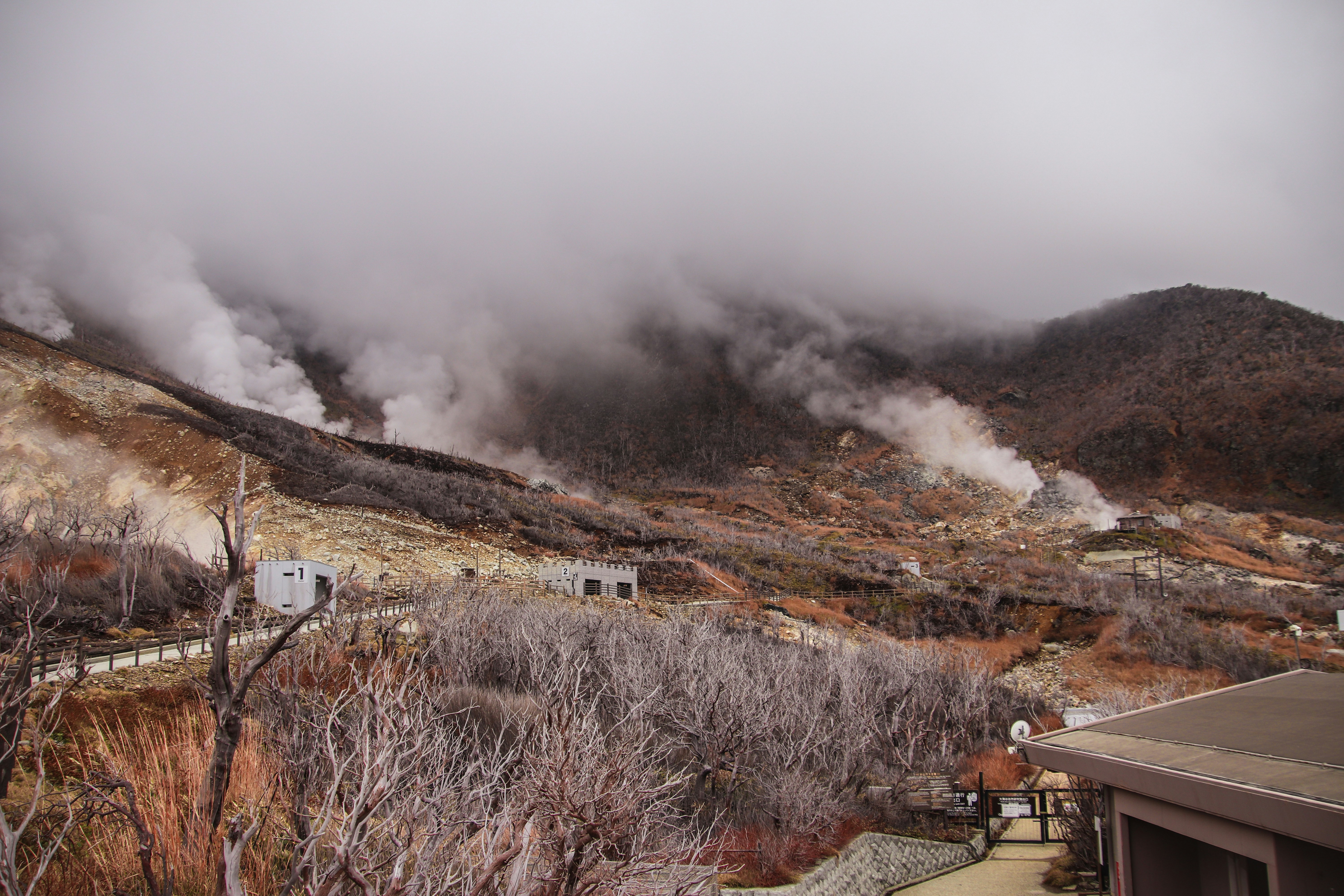 Photo by dc_snapshots