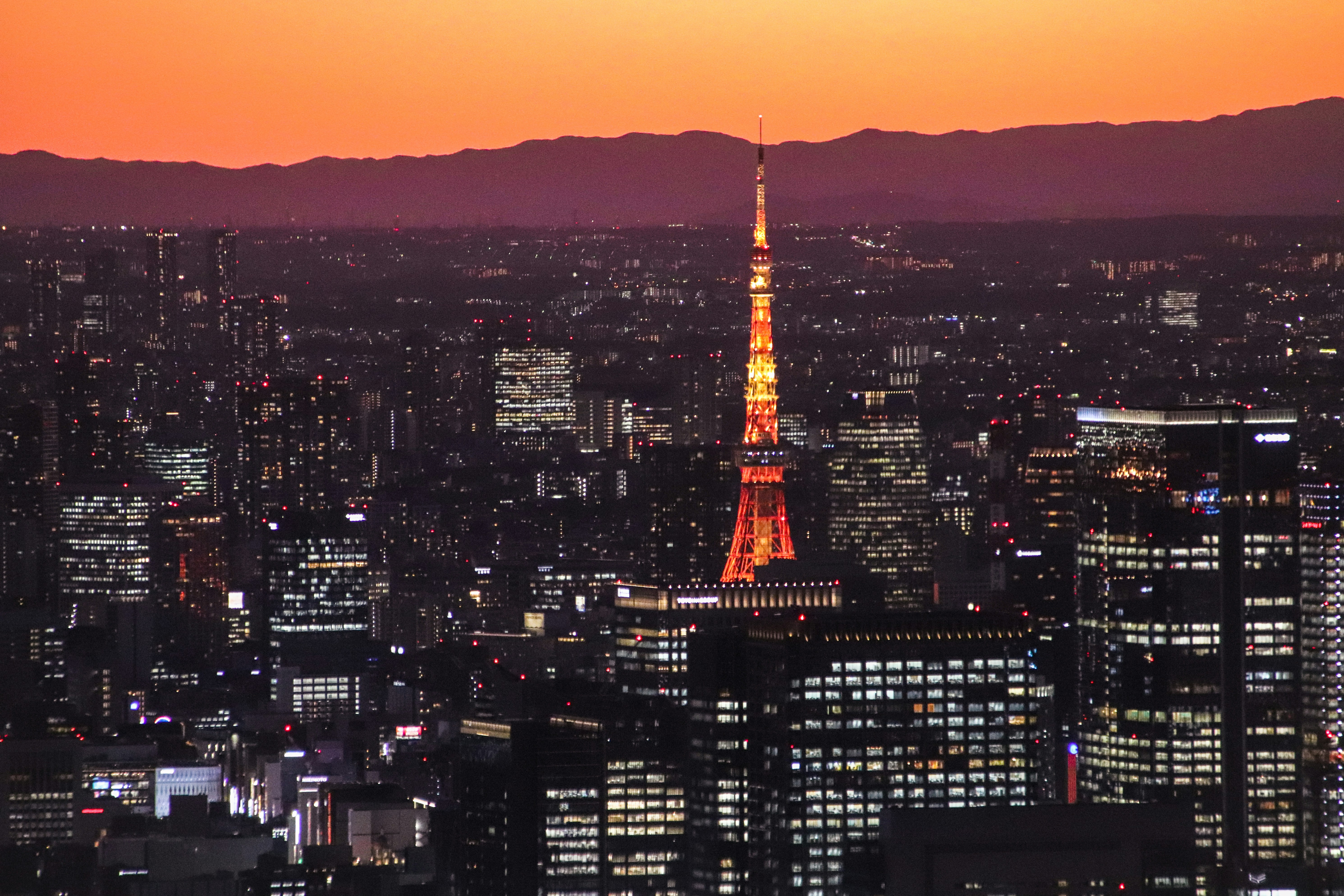 Der Eiffelturm thront über der Stadt Paris