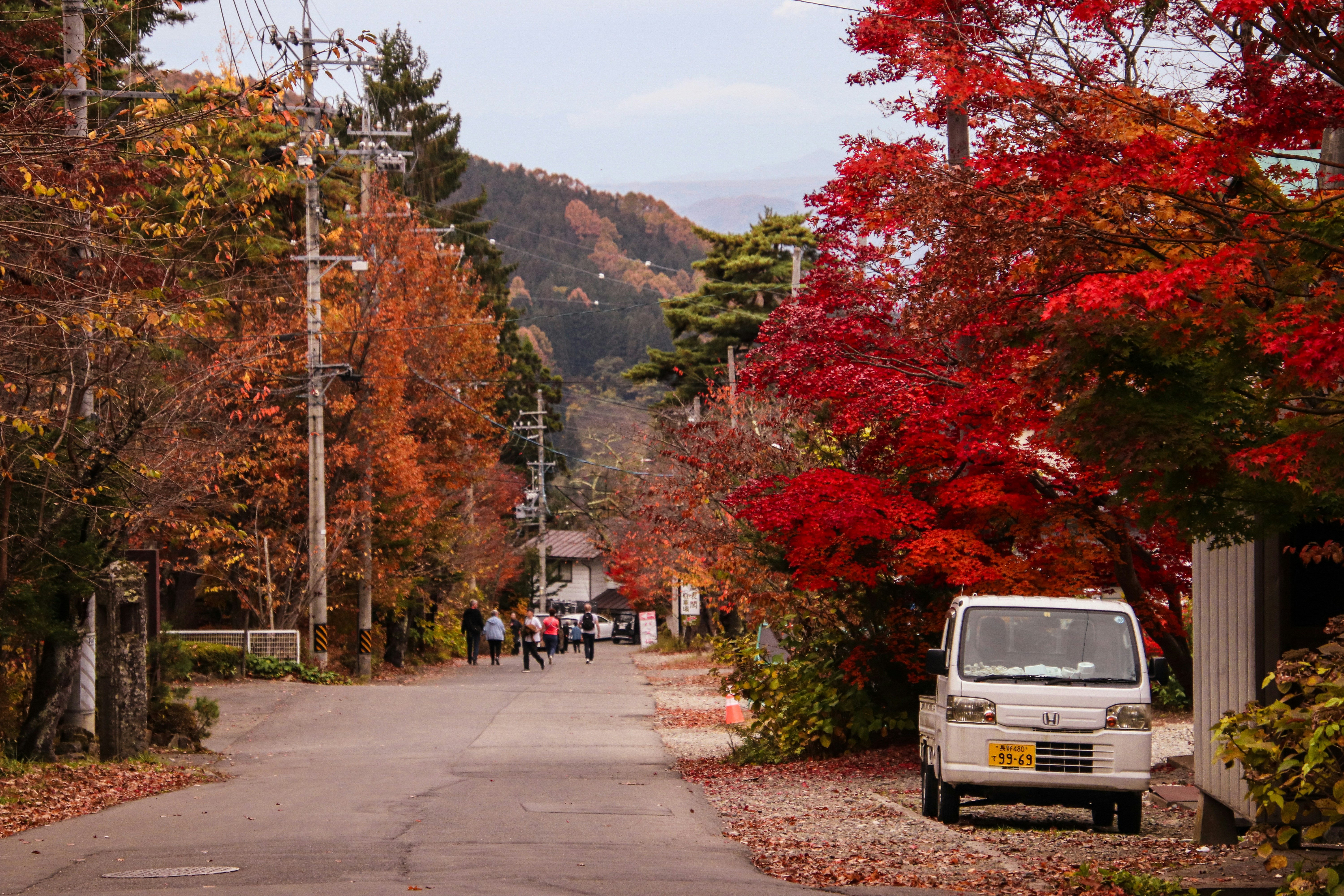 ein Auto, das am Straßenrand geparkt ist, umgeben von Bäumen