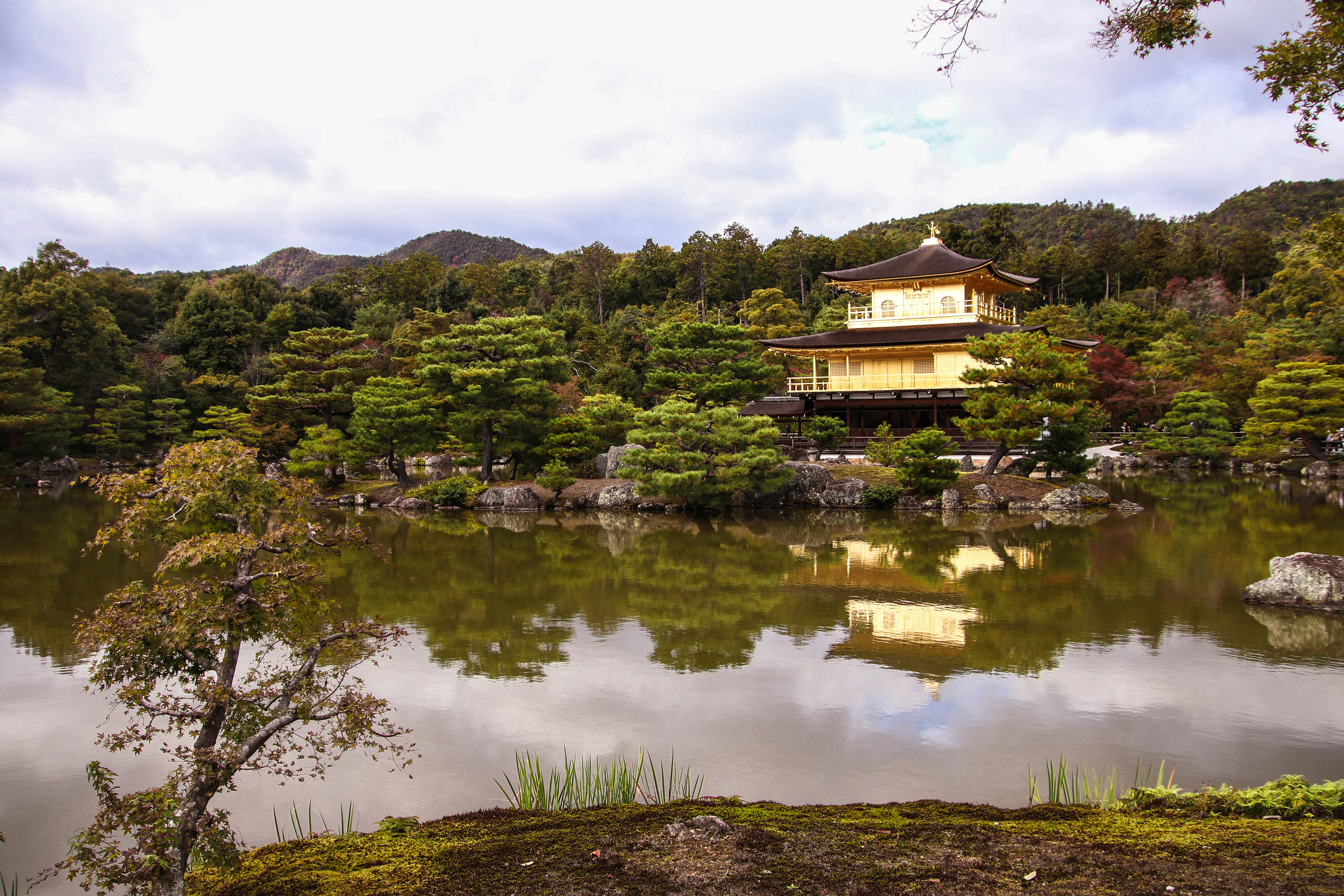 Photo by dc_snapshots