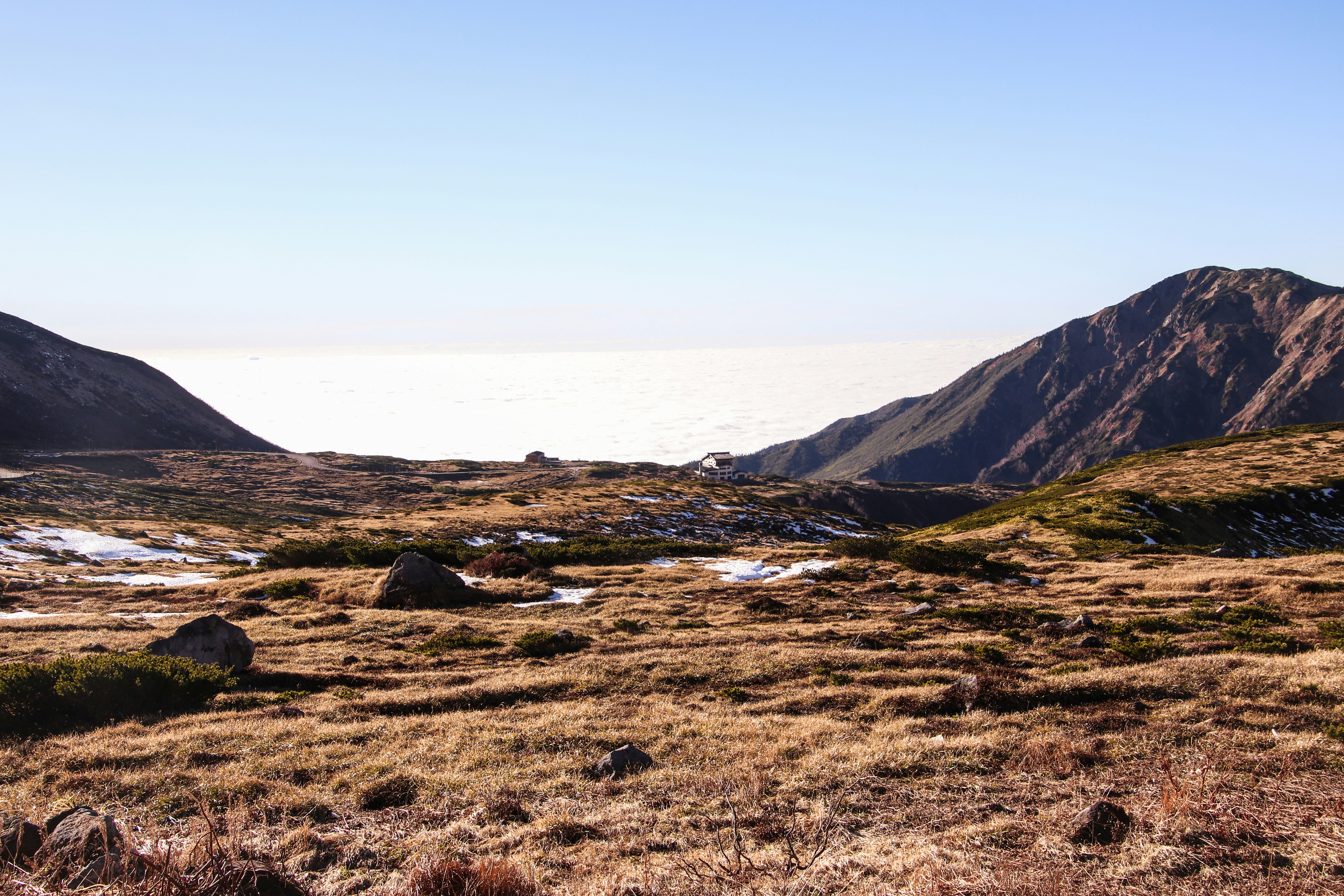 eine Wiese mit einem Berg im Hintergrund