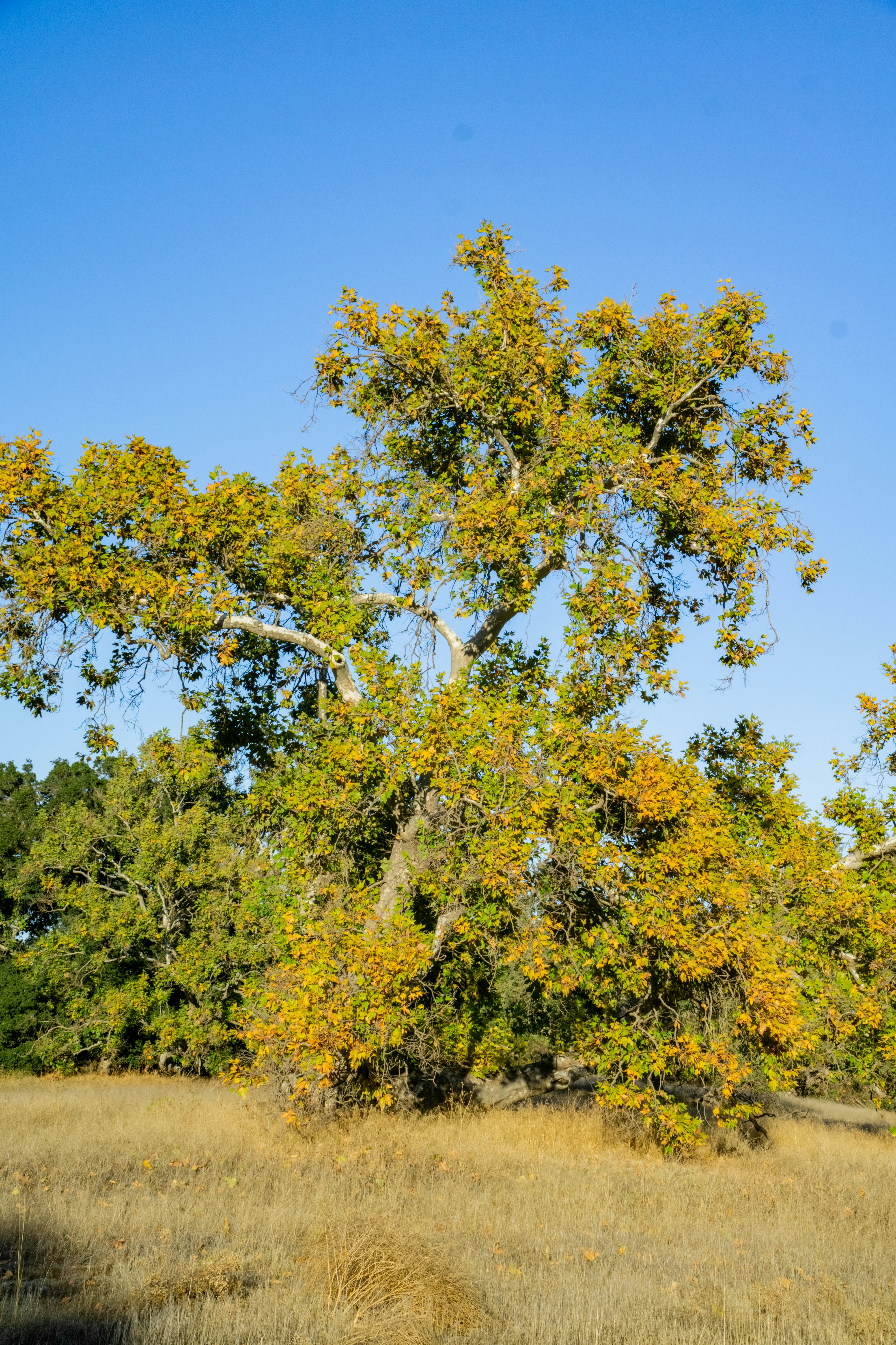 Du ska inte tro att du är något – du ska veta det!