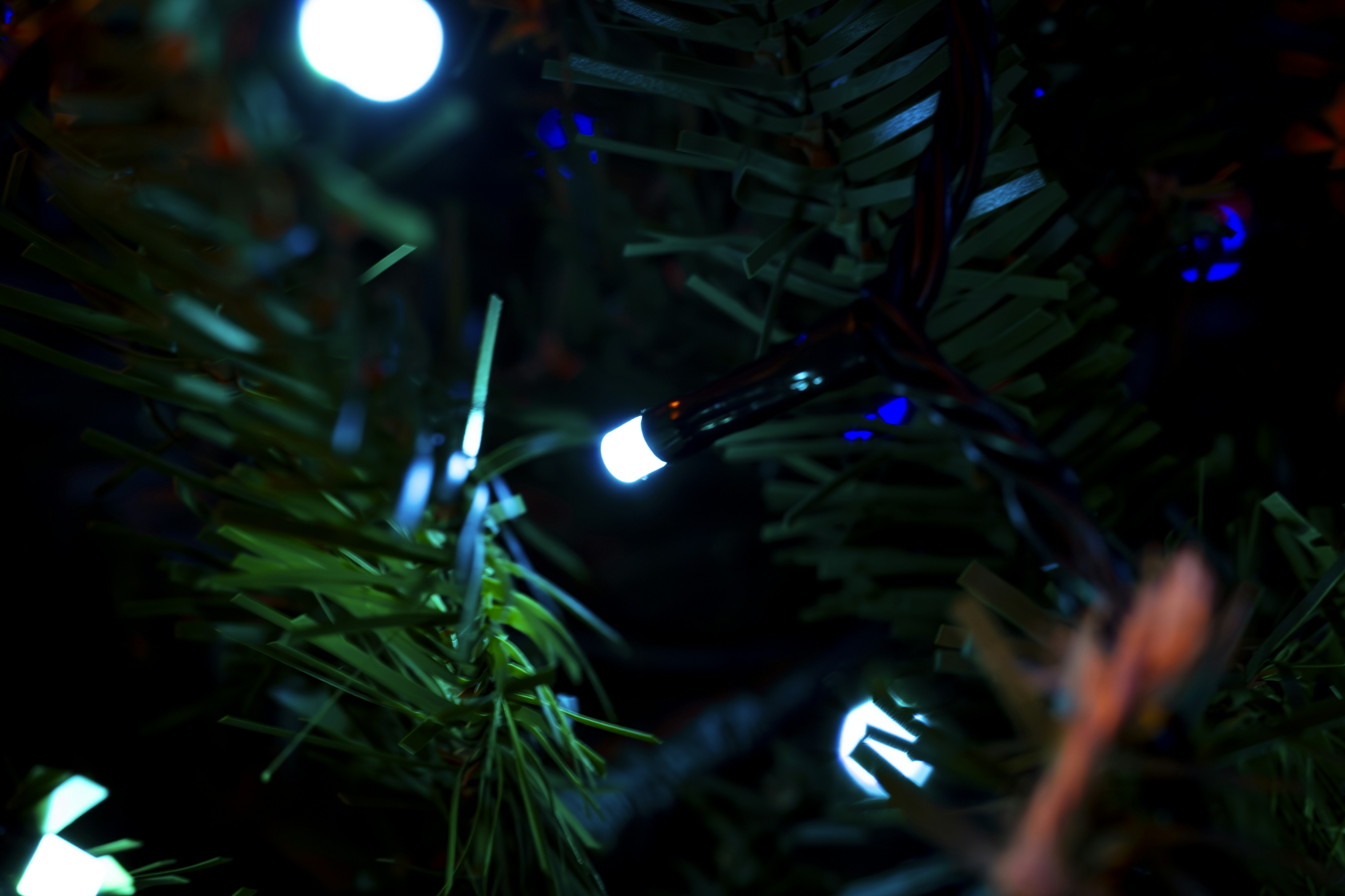 a close up of a christmas tree with lights