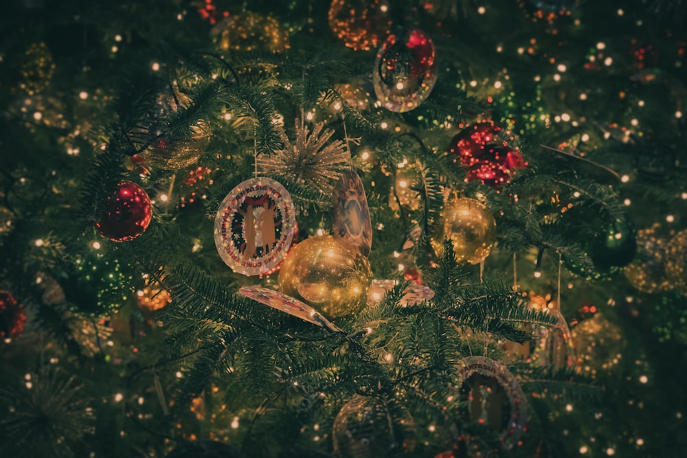 a close up of a christmas tree with ornaments