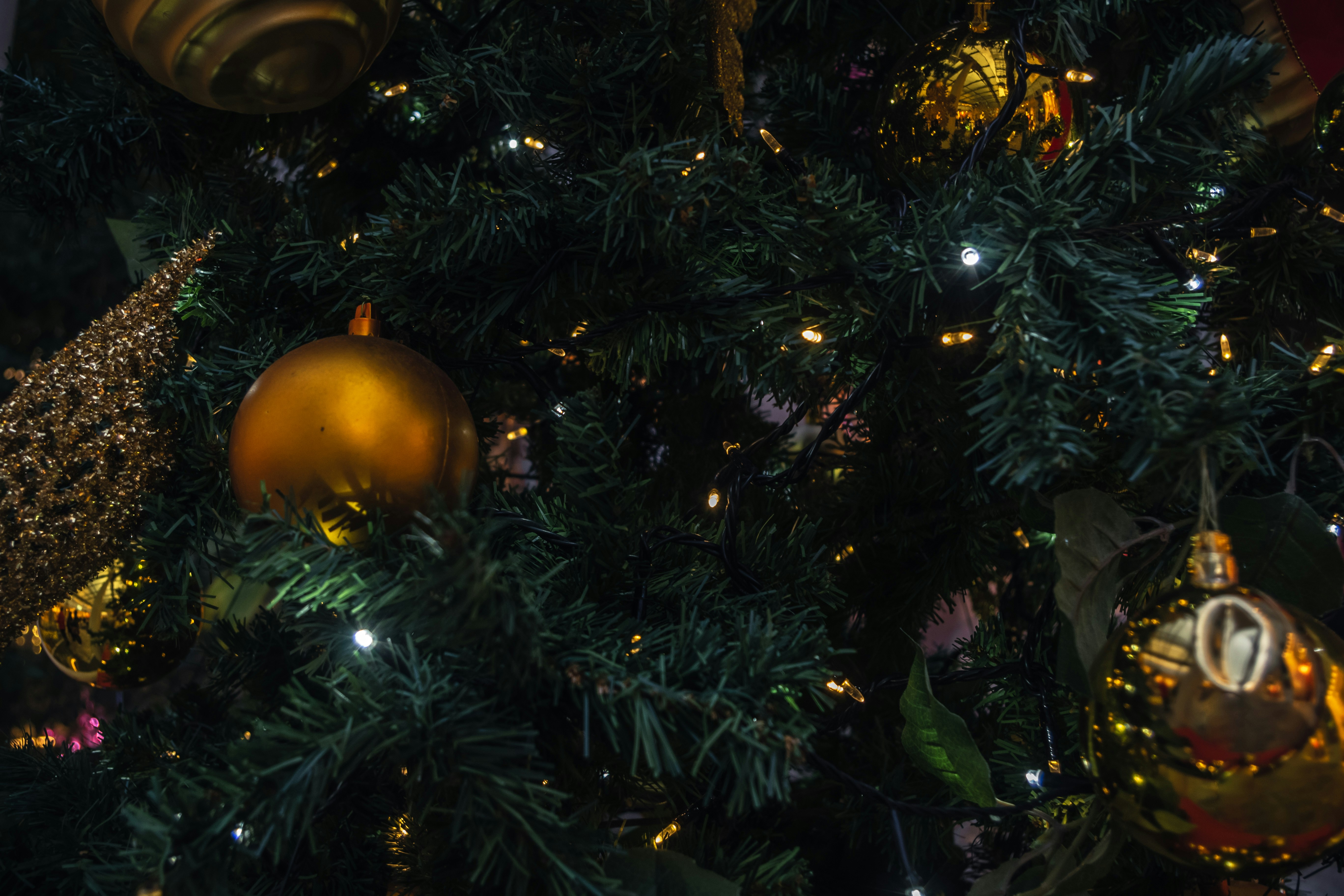 Photo by eikichishutou