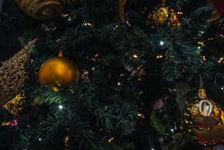 A close-up of Christmas ornaments and twinkling lights.