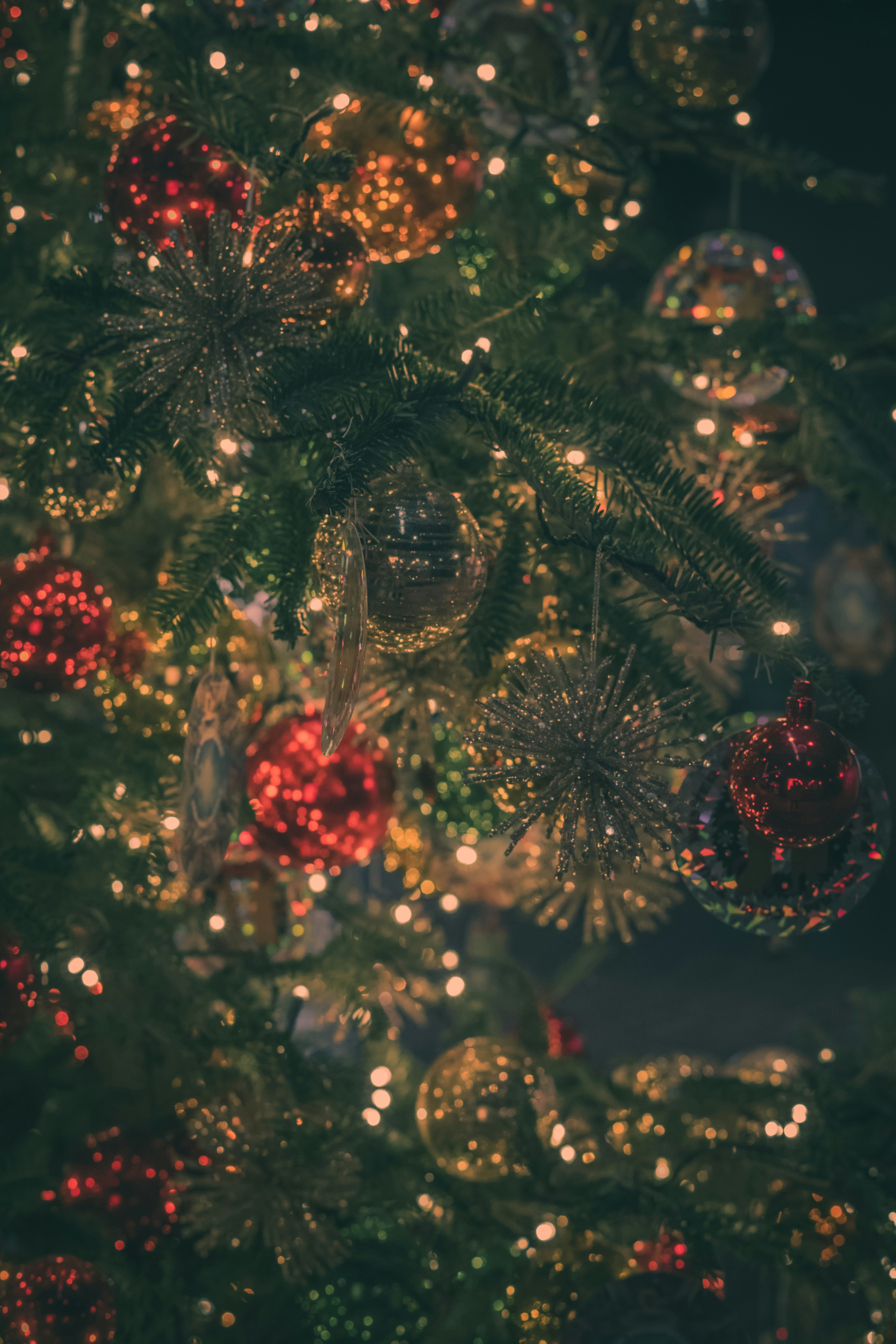 Photo by eikichishutou