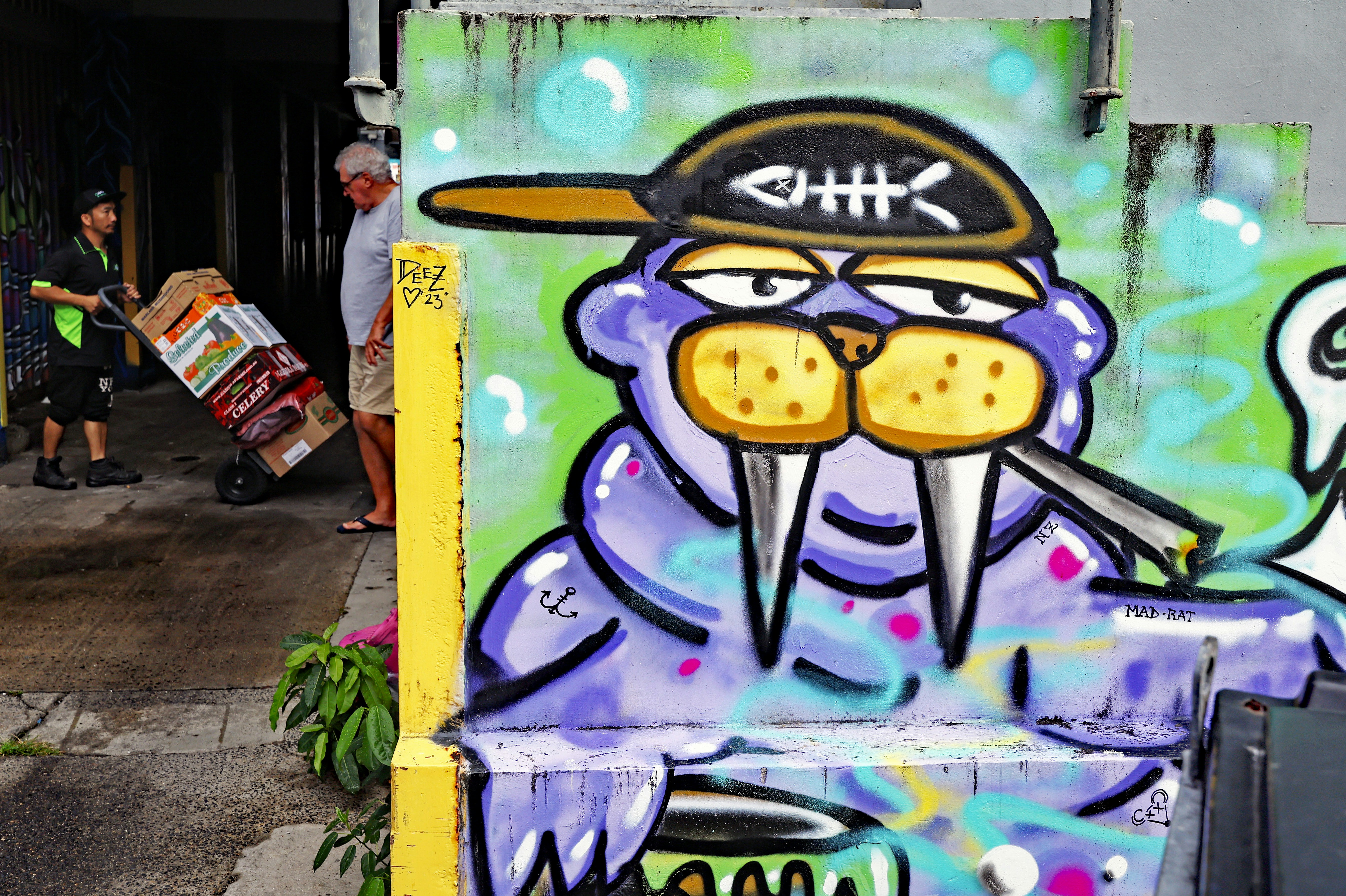 a graffiti covered wall with a bird wearing a hat and smoking a cigarette