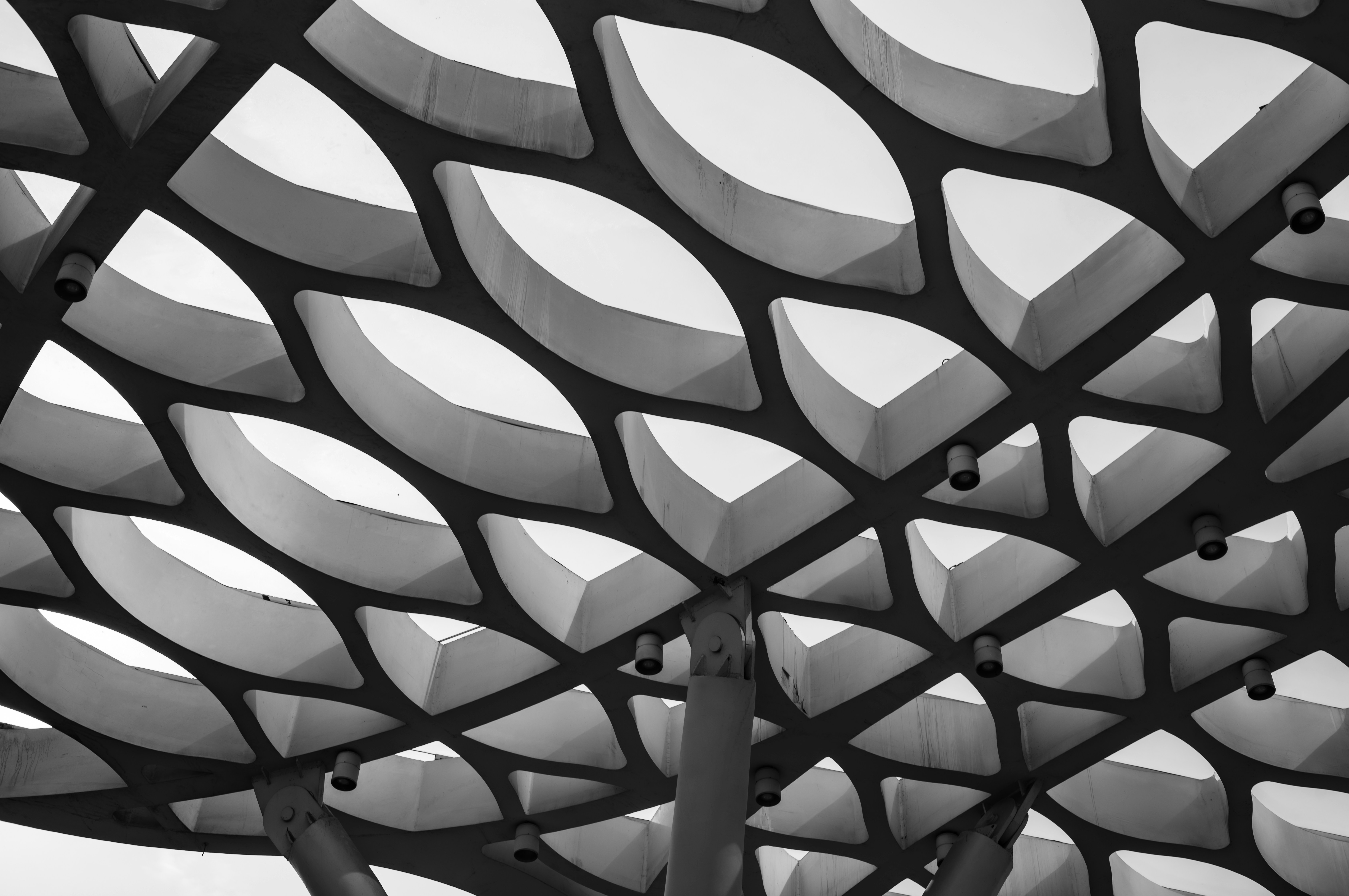 Photo by xingchenyan