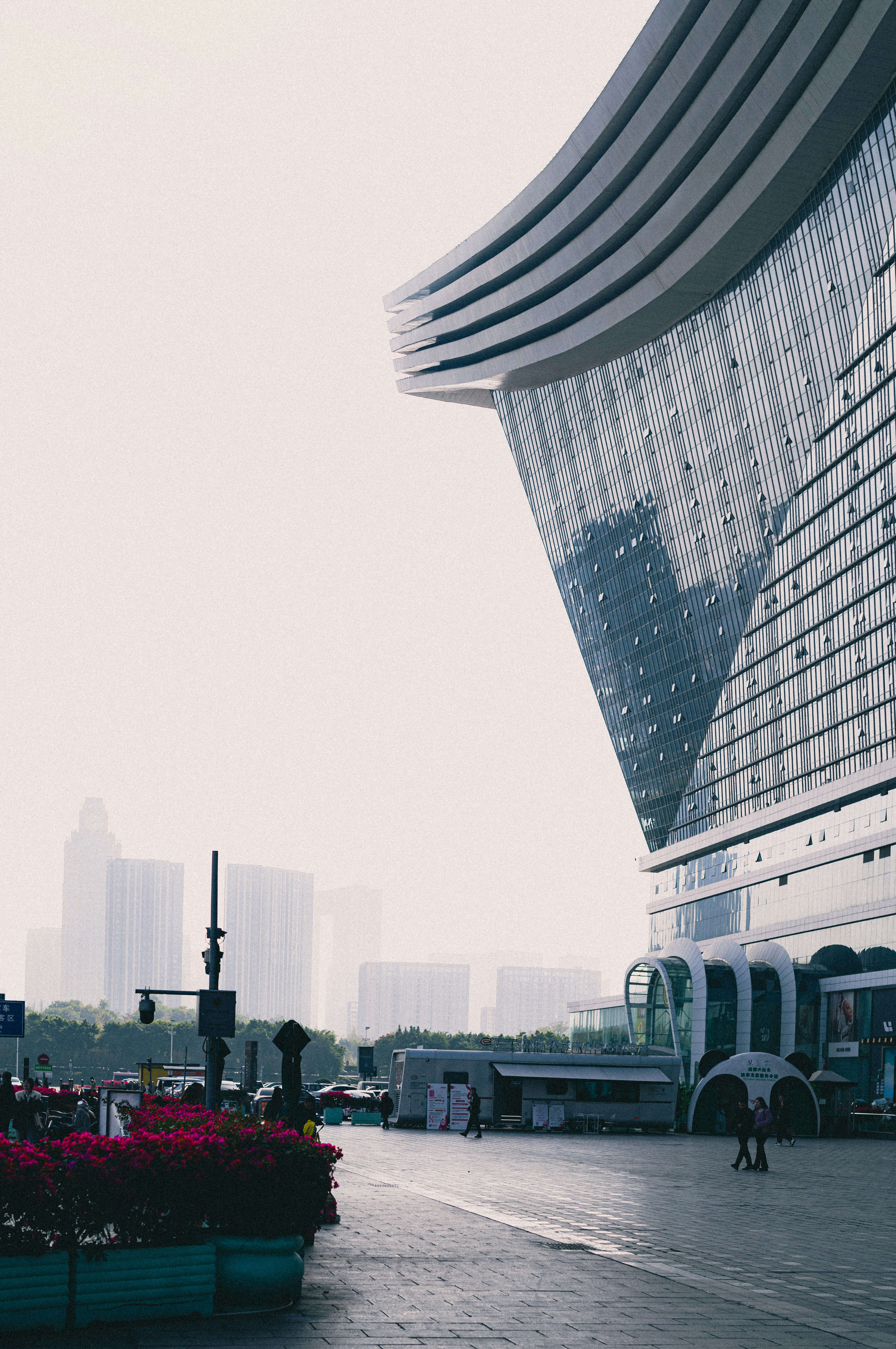 Photo by xingchenyan