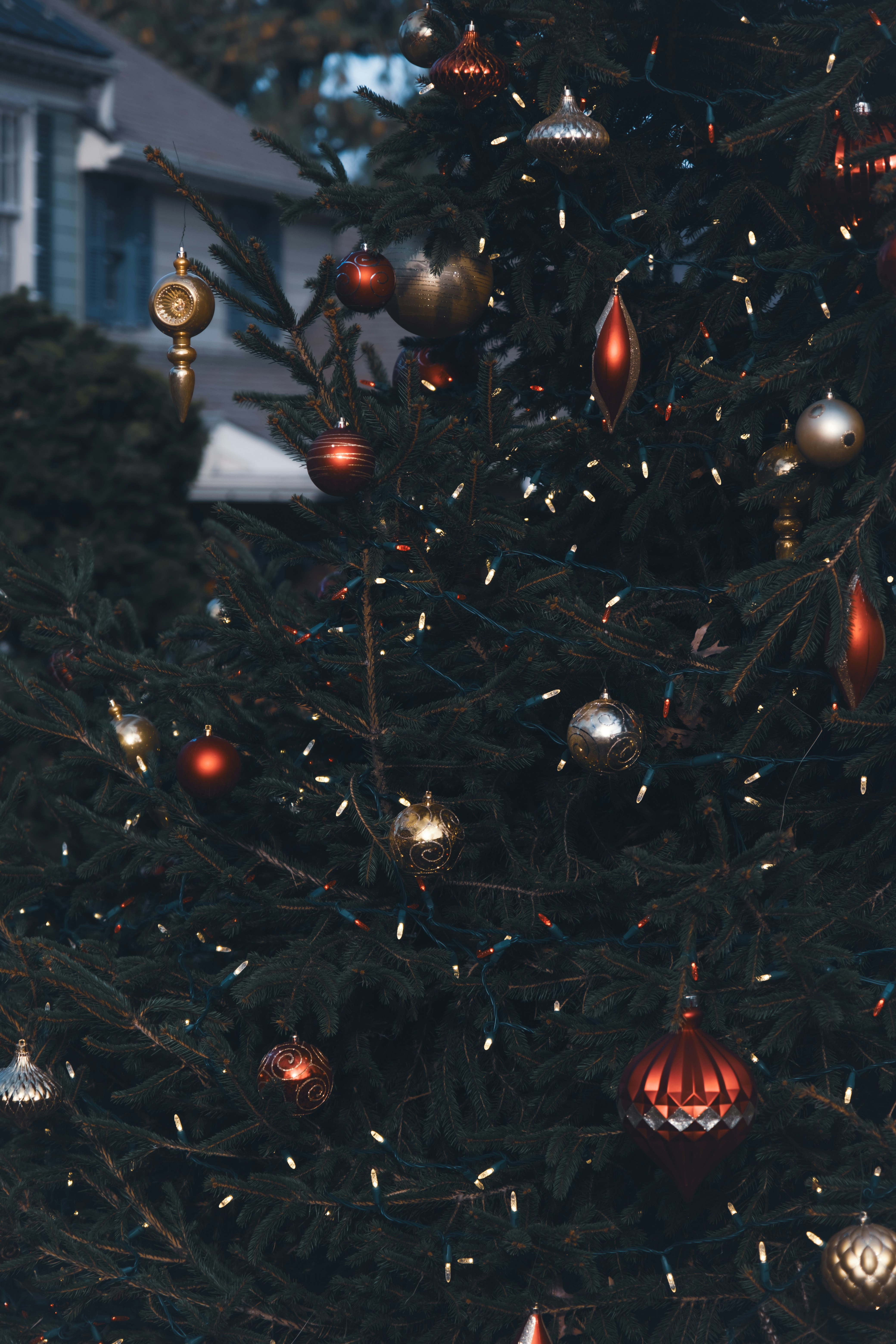 a close up of a christmas tree with ornaments