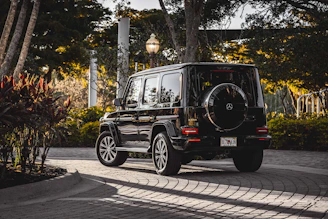 A sleek black Mercedes Metris parked beside lush rainforest greenery with a warm sunset glowing in the background.