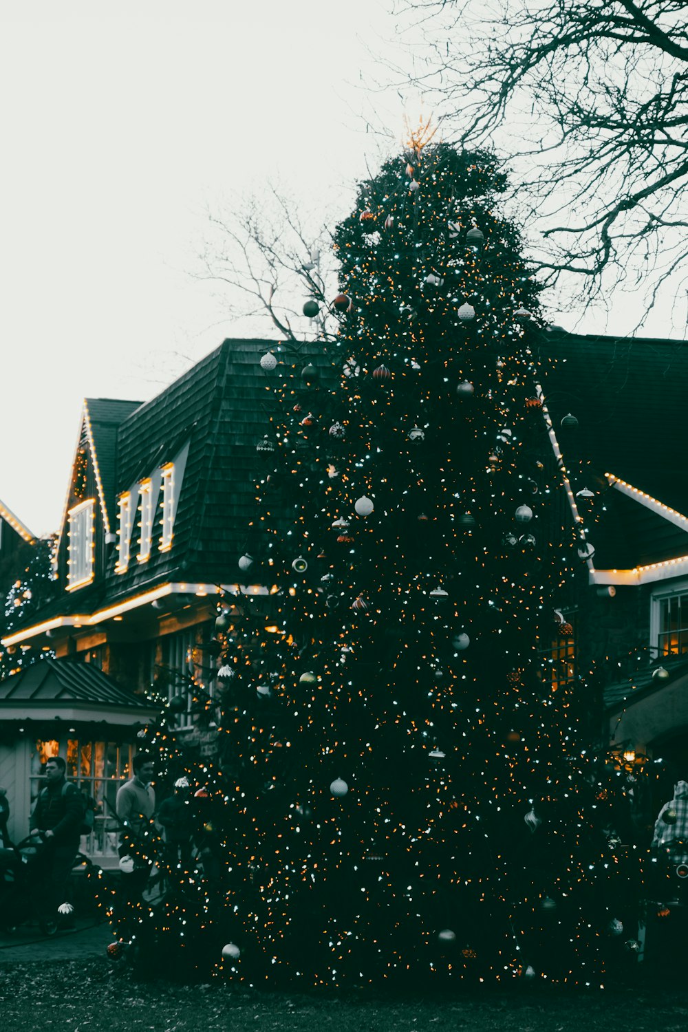 a large christmas tree in front of a house