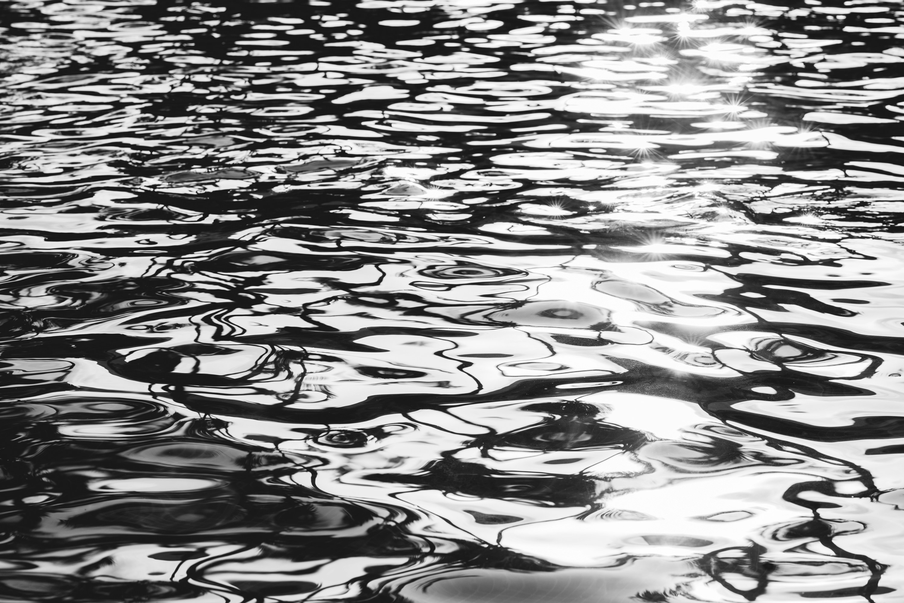 Photo by freddygmedia