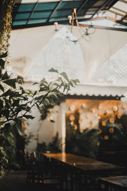 Warm, inviting workspace with soft natural light filtering through plants and cozy seating.
