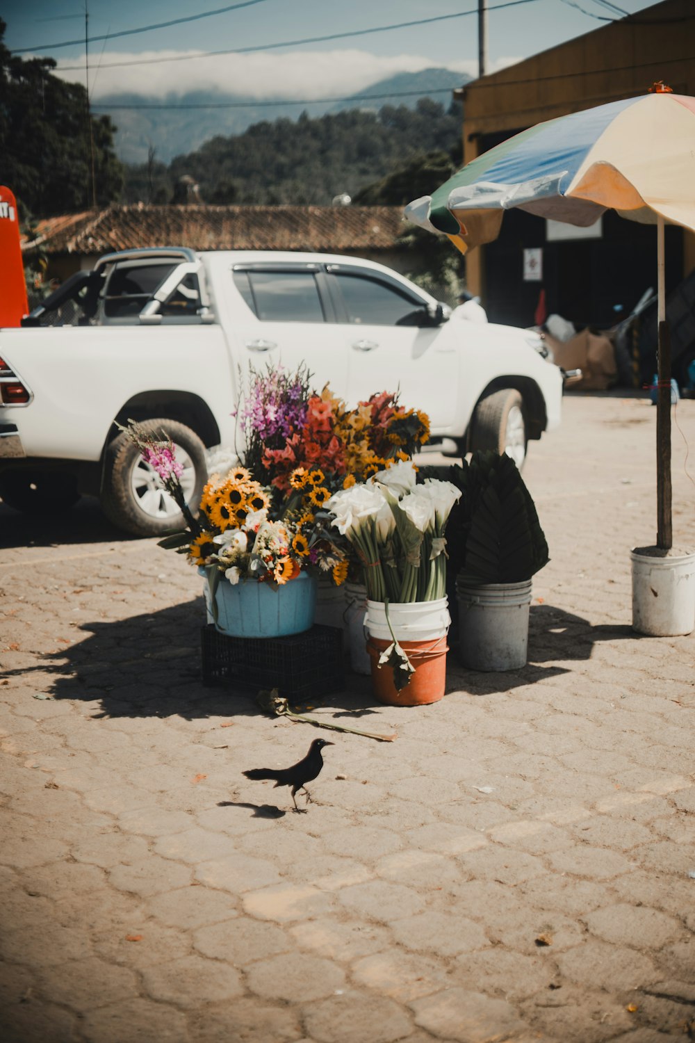 a white car parked in a parking lot next to a flower pot